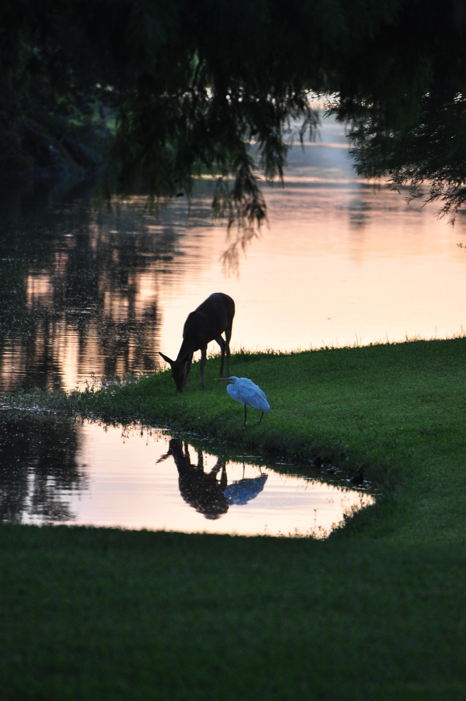  15 Pinckney Rd.  DeBordieu Colony - 物件實景