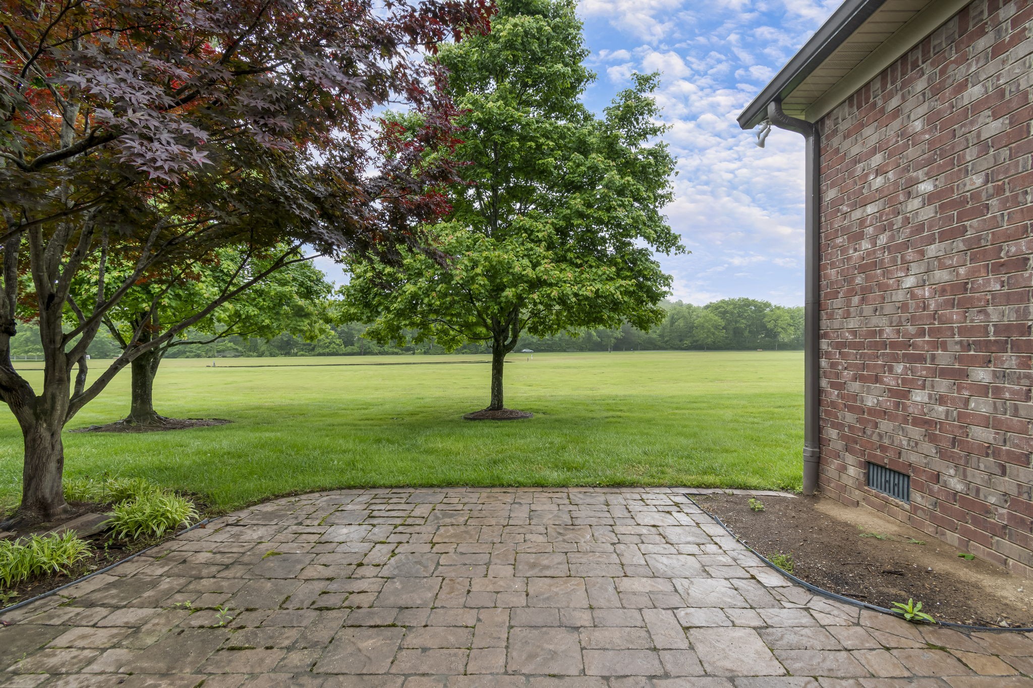  158 Tara Ln, Goodlettsville, TN, 37072 - 物件實景