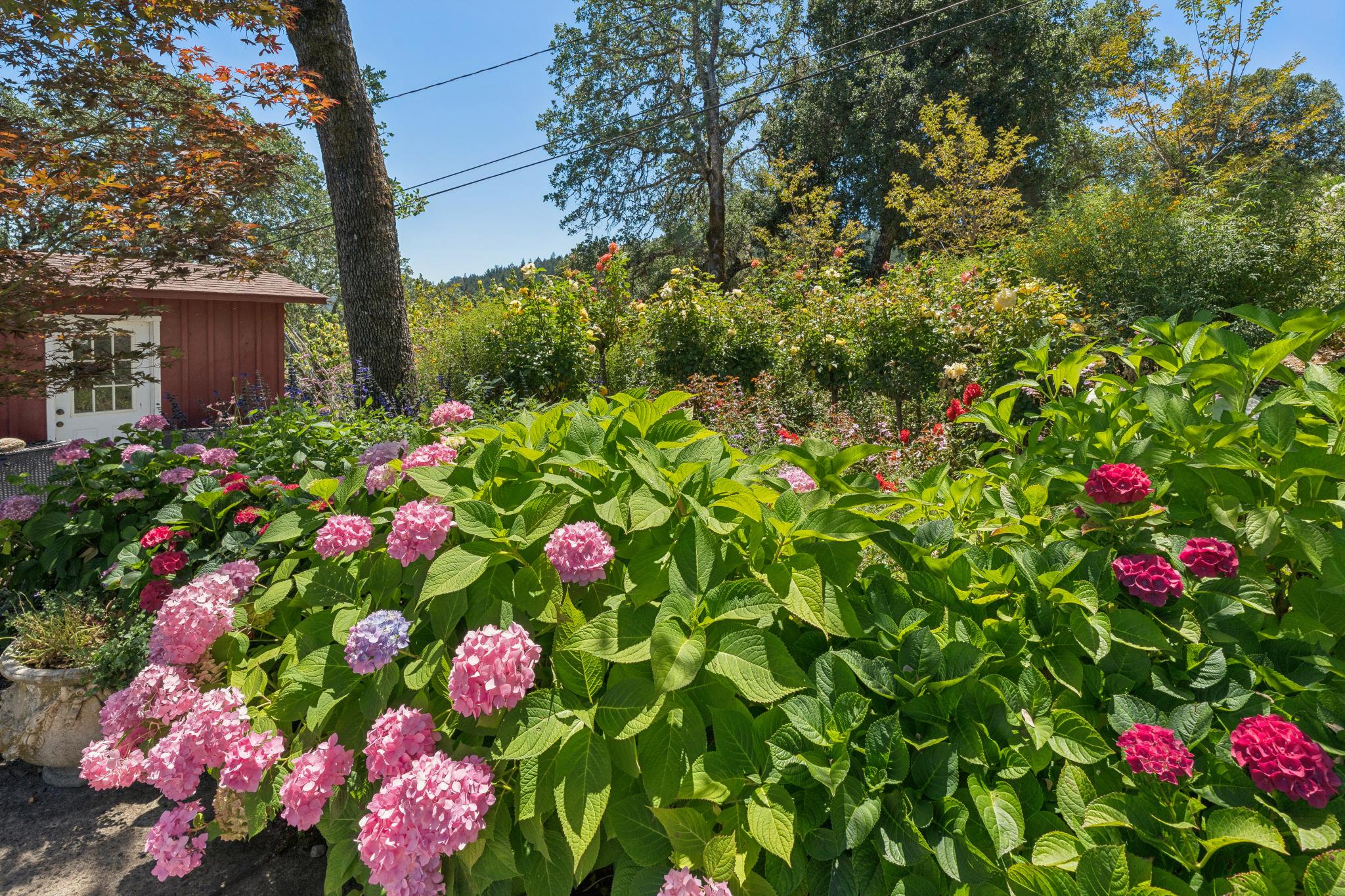  3393 St. Helena Hwy N. - 物件實景