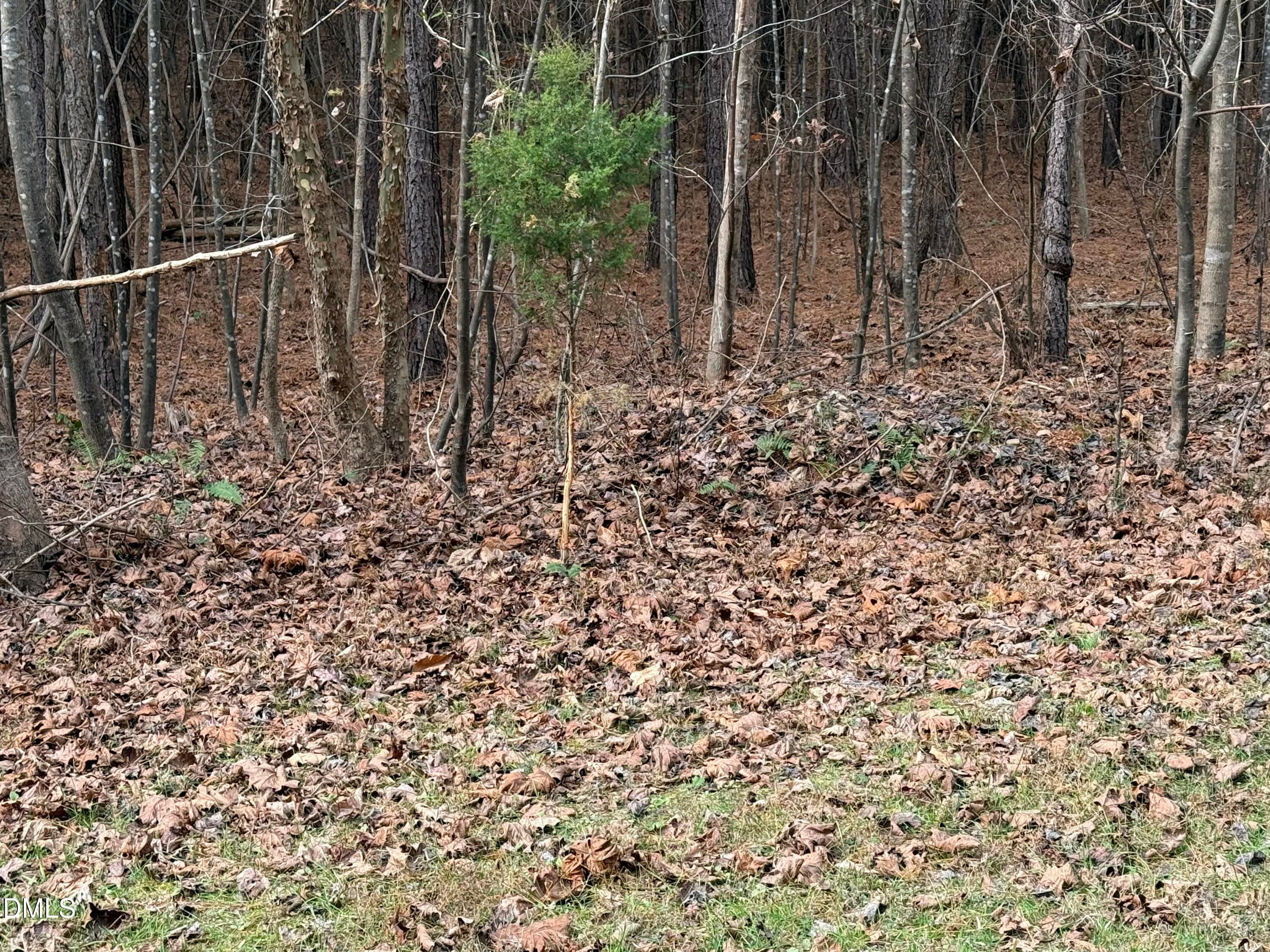 Oxford, North Carolina, 27565, United States, ,Land,For Sale,2000467