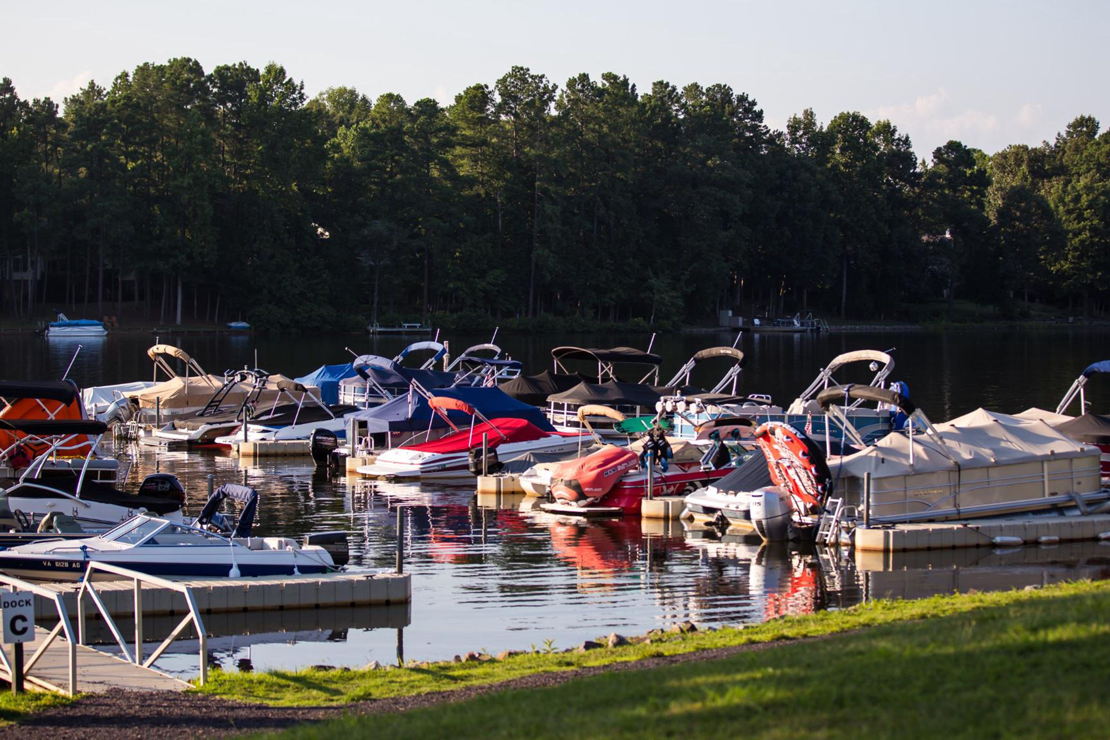 10706 Green Leaf Run, Spotsylvania, VA, 22551 - 物件實景