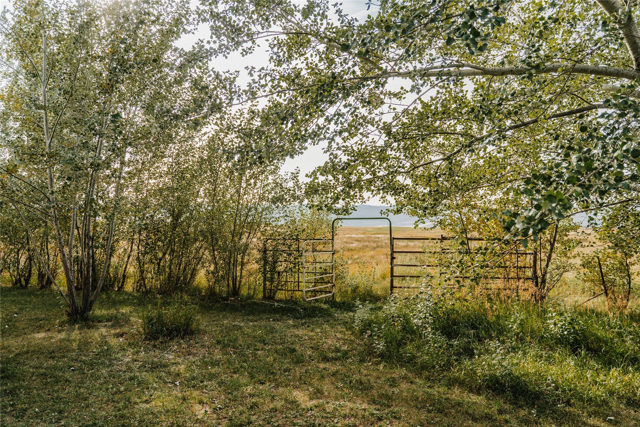 57315 & 57309 Kopp Road, Hot Springs, Montana, 59845, United States, 3 Bedrooms Bedrooms, ,2 BathroomsBathrooms,Residential,For Sale,57315 & 57309 Kopp Road,1639452