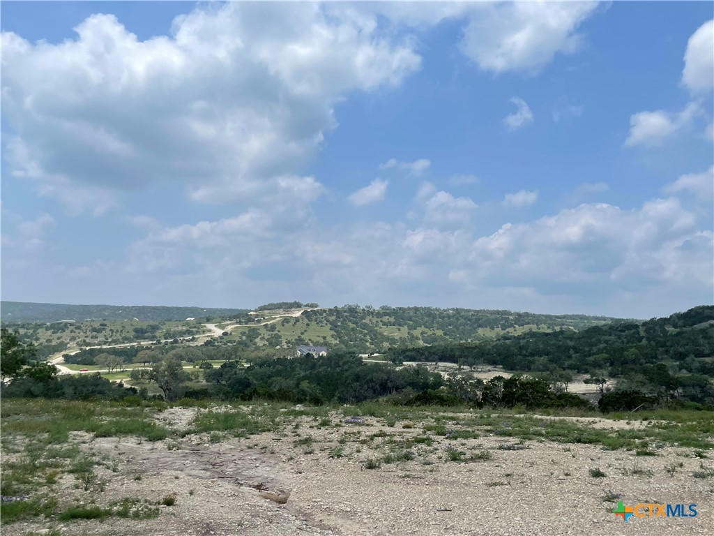 Blanco, Texas, 78606, United States, ,Land,For Sale,1877440