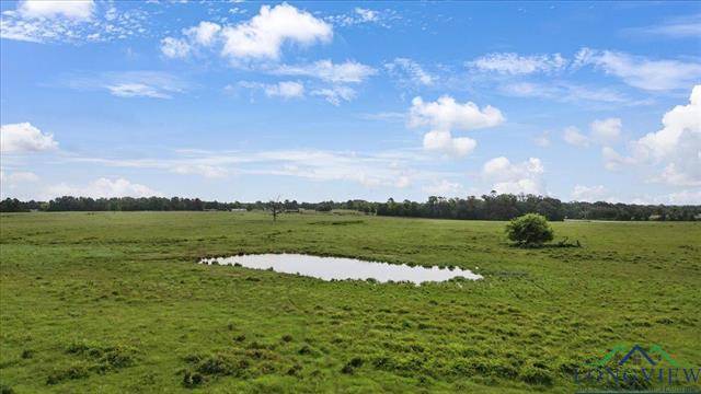 Henderson, Texas, 75654, United States, ,Land,For Sale,1885334