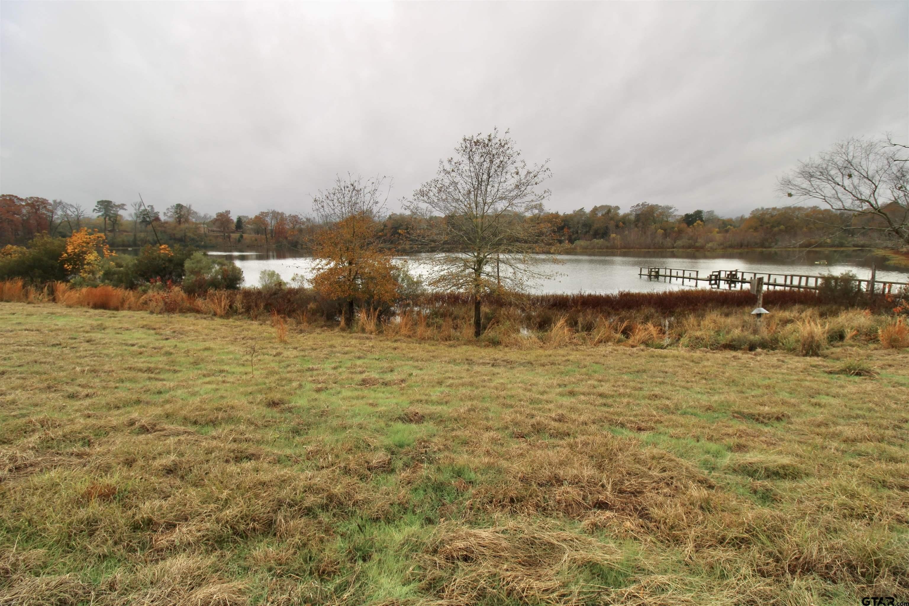 Leesburg, Texas, 75451, United States, 3 Bedrooms Bedrooms, ,2 BathroomsBathrooms,Residential,For Sale,1977954