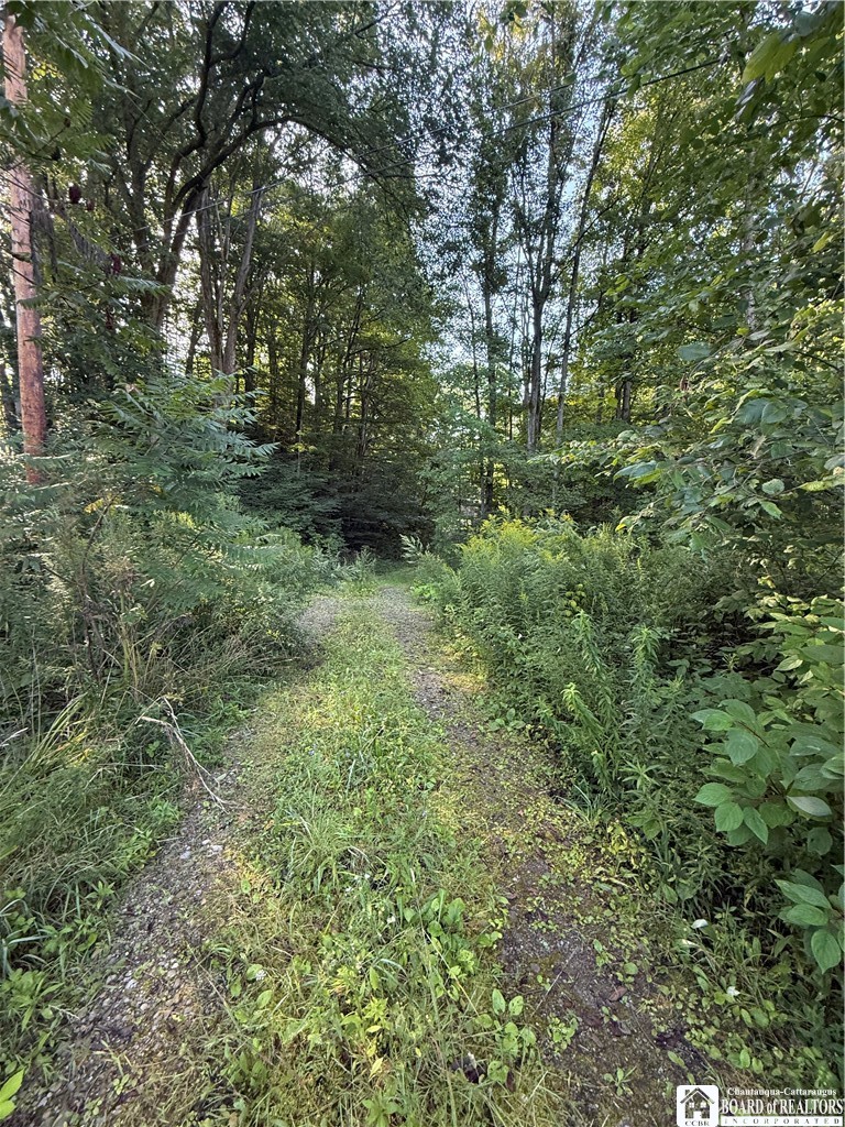 Northeast Rd, Conewango Valley, NY 14726