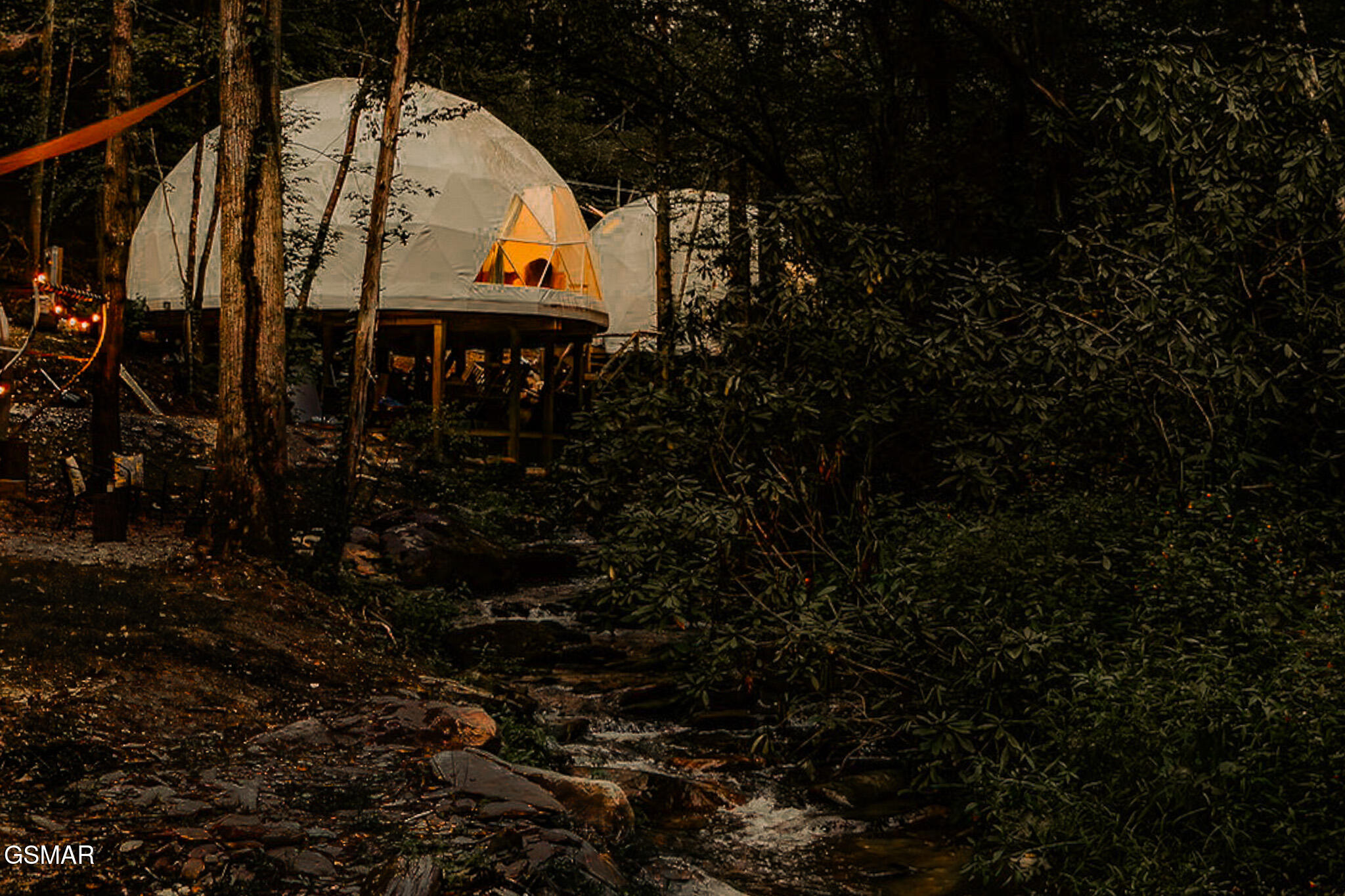 Cosby, Tennessee, 37722, United States, ,Land,For Sale,1978210