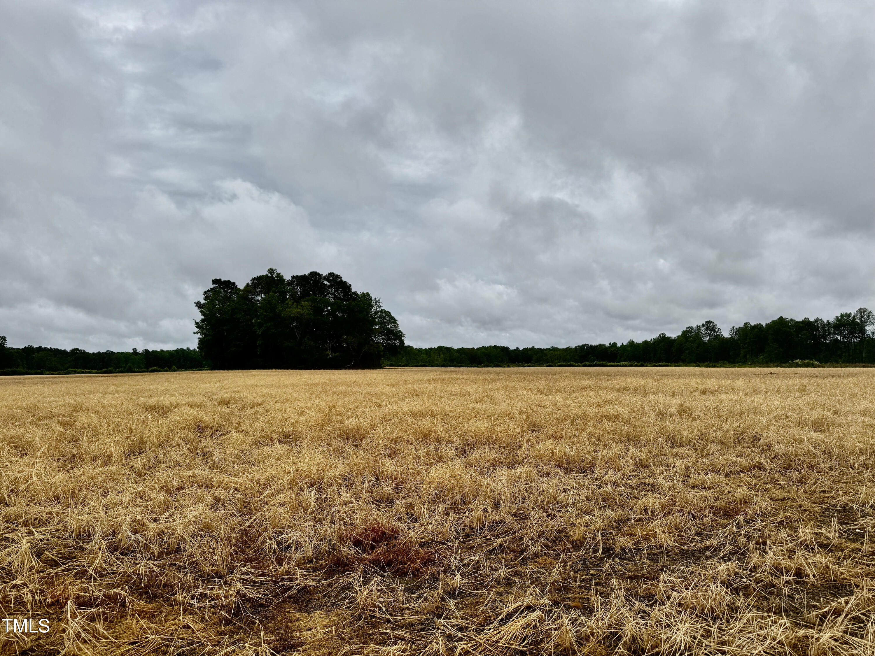 Murfreesboro, North Carolina, 27855, United States, ,Land,For Sale,1796477