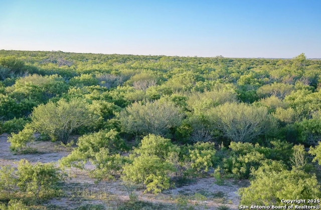 Beeville, Texas, 78102, United States, ,Land,For Sale,1987923