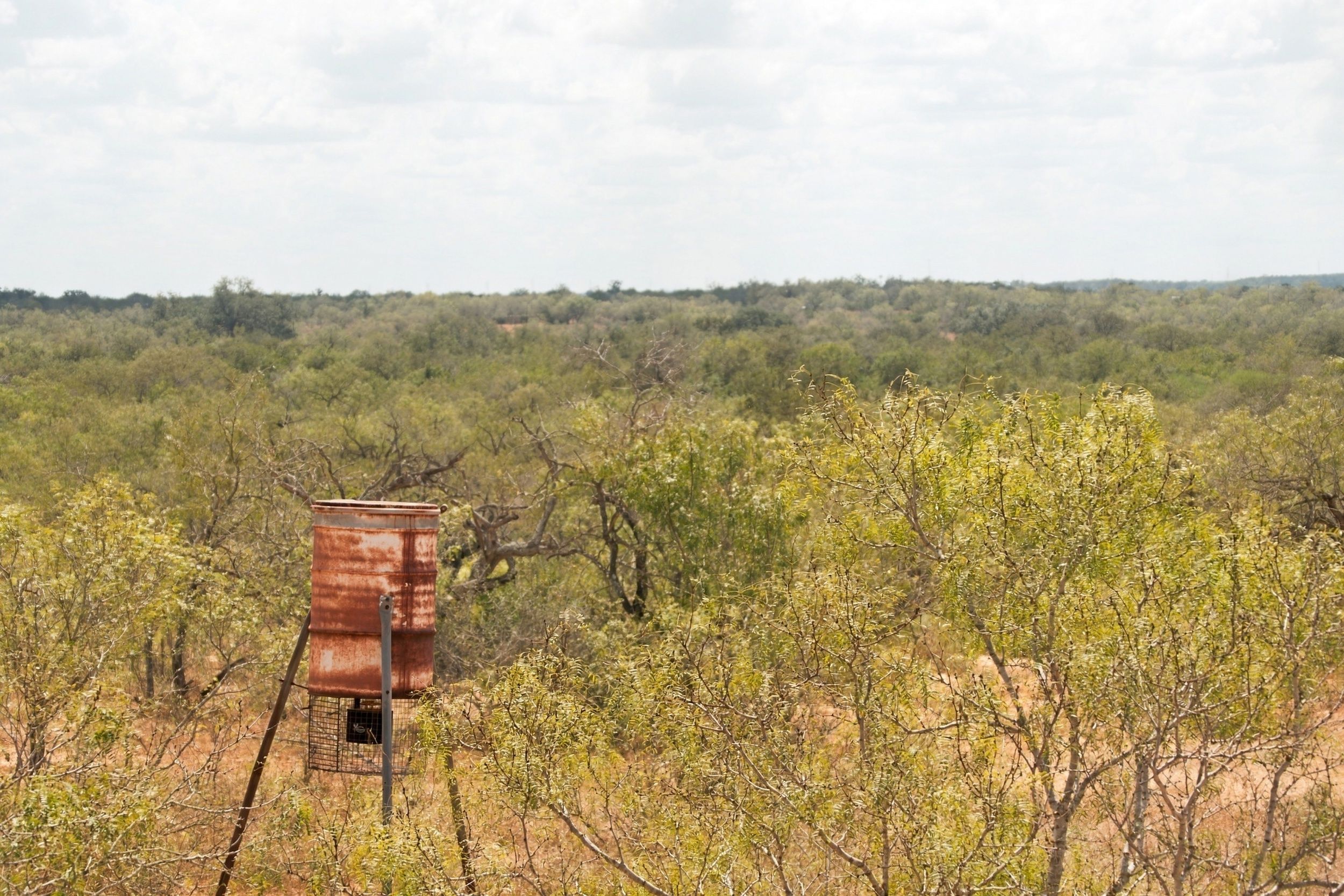  186+/- Acre Post Oak Hill Ranch - 物件實景