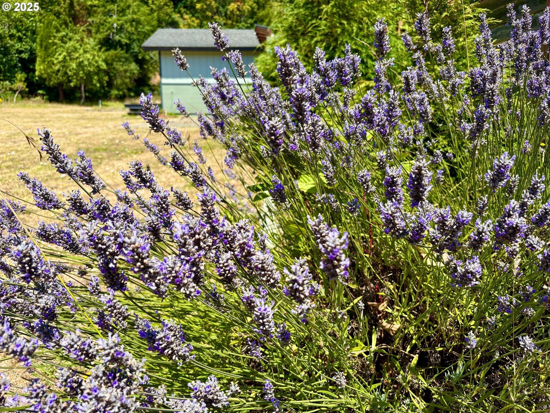 Gold Beach, Oregon, 97444, United States, 4 Bedrooms Bedrooms, ,3 BathroomsBathrooms,Residential,For Sale,1978600
