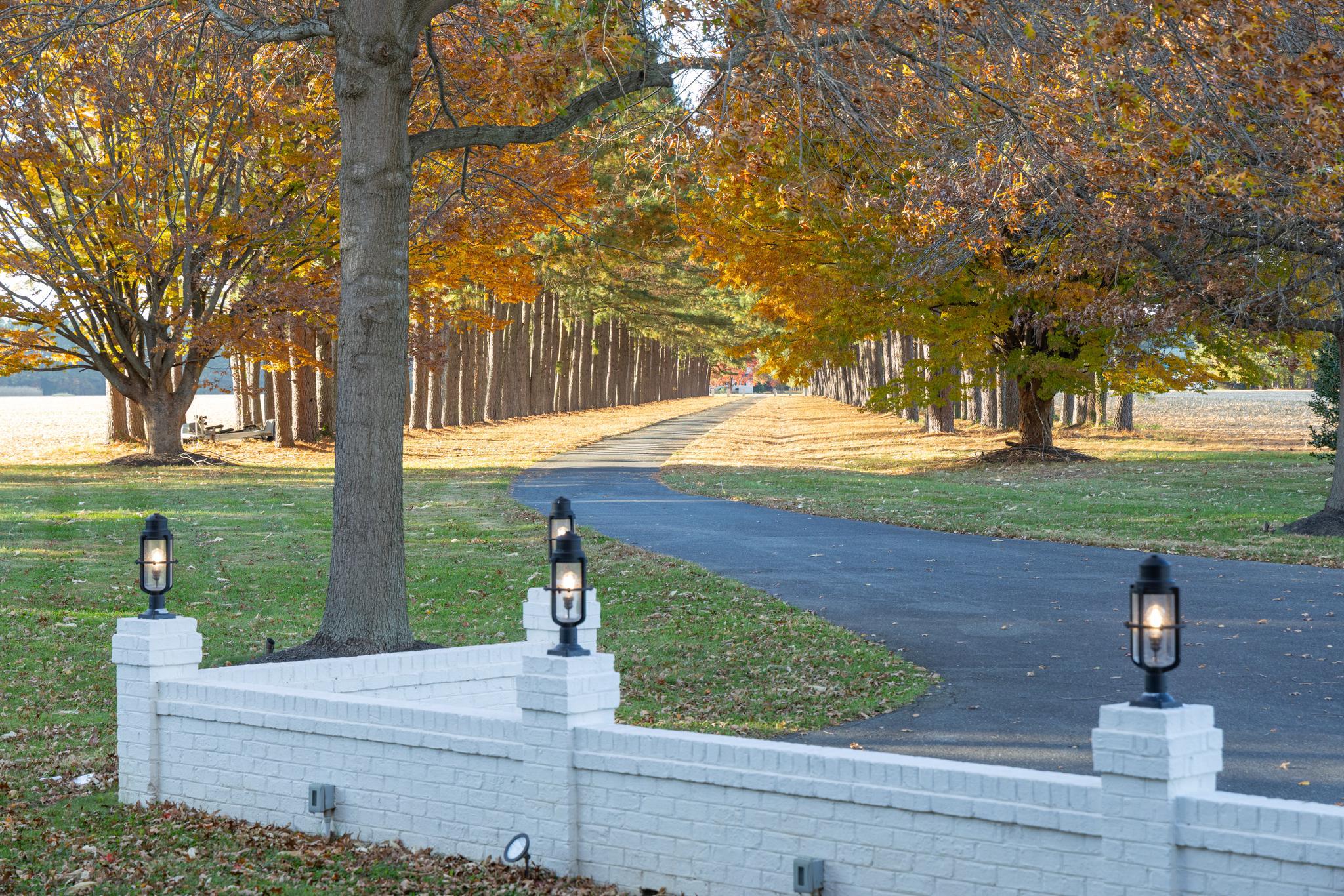  9170 Hunting Creek Lane, Easton, MD, 21601 - 物件實景