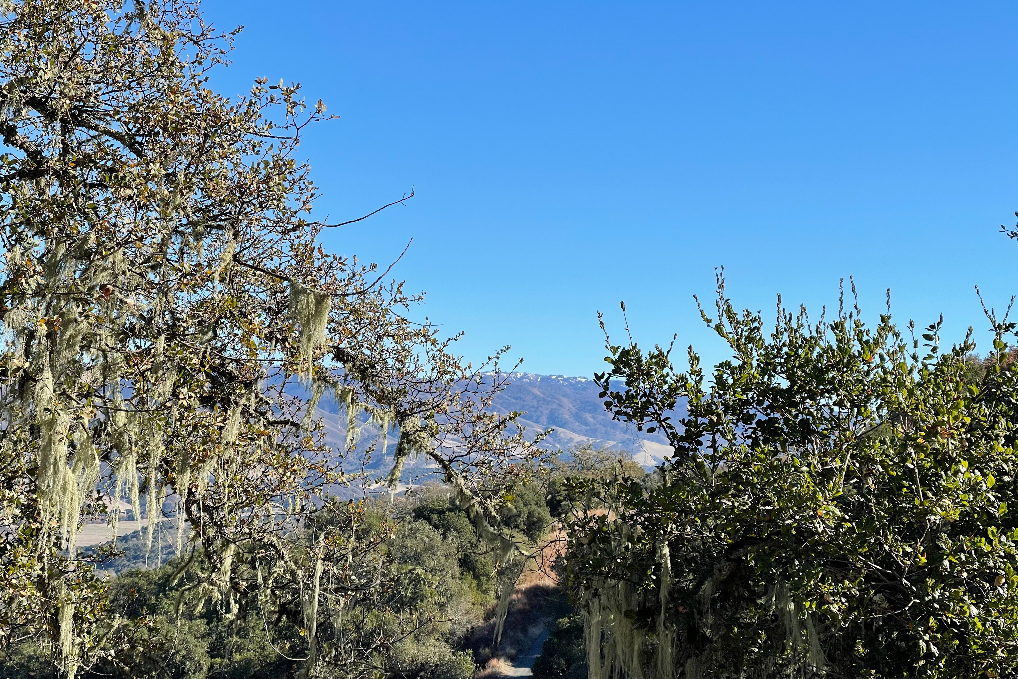  17114 Cachagua Road - 物件實景