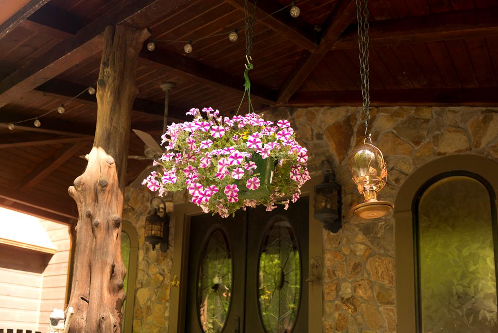 Ellijay, Georgia, 30540, United States, 3 Bedrooms Bedrooms, ,4 BathroomsBathrooms,Residential,For Sale,1952402