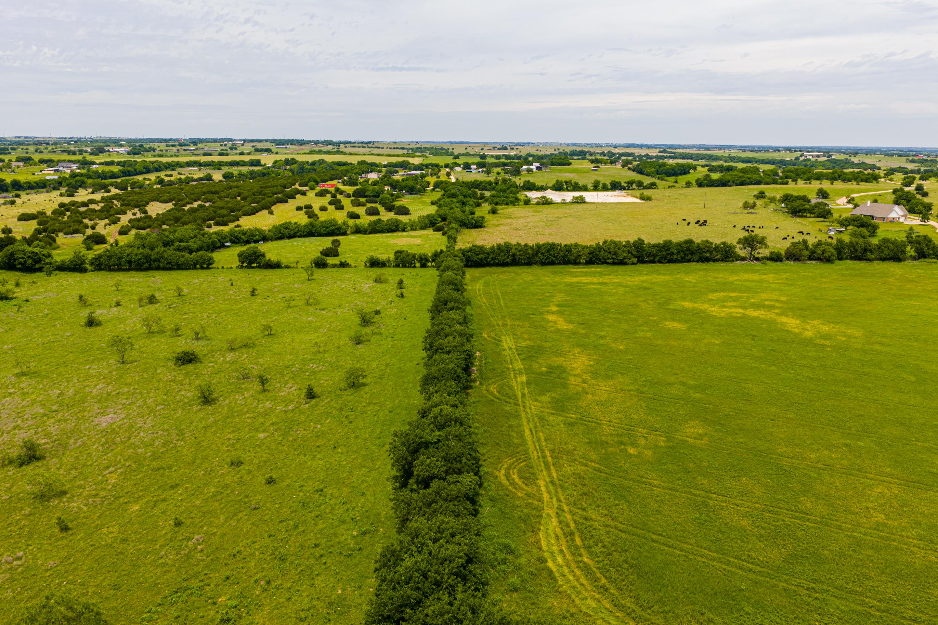  667 Acre Development Property With Two Miles Of Highway Frontage - 物件實景
