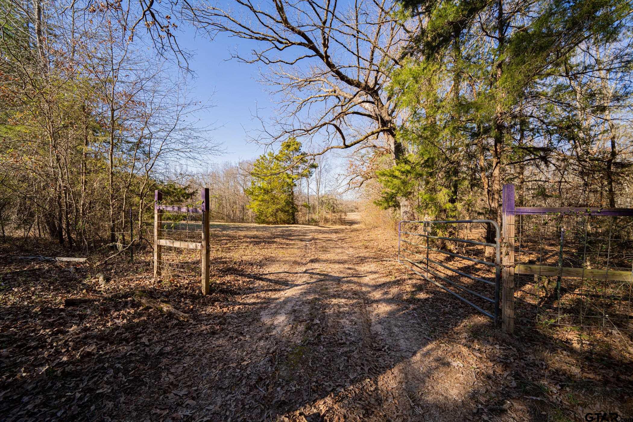 Dekalb, Texas, 75559, United States, ,Residential,For Sale,1878363