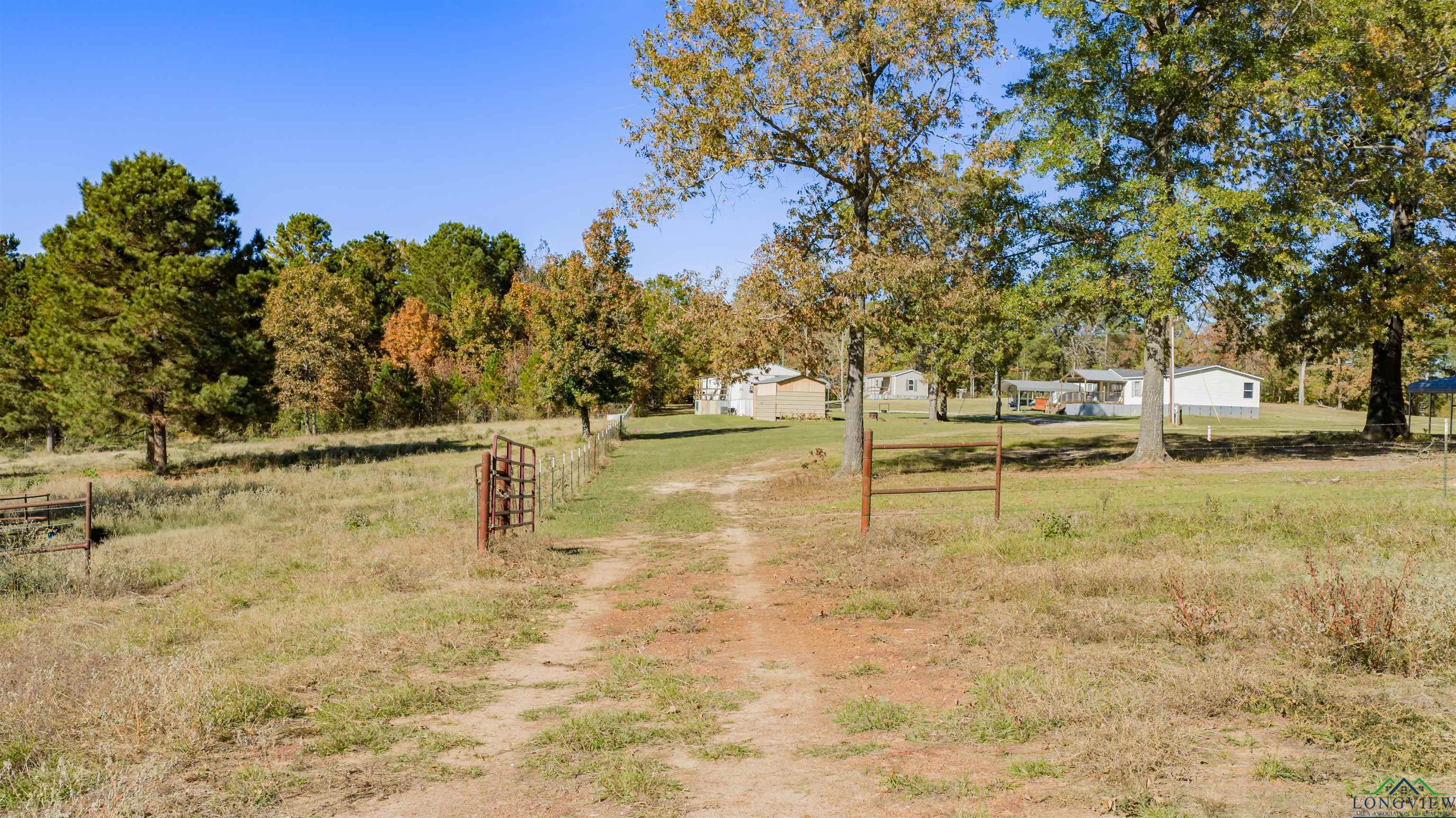 Diana, Texas, 75640, United States, ,Residential,For Sale,1993396