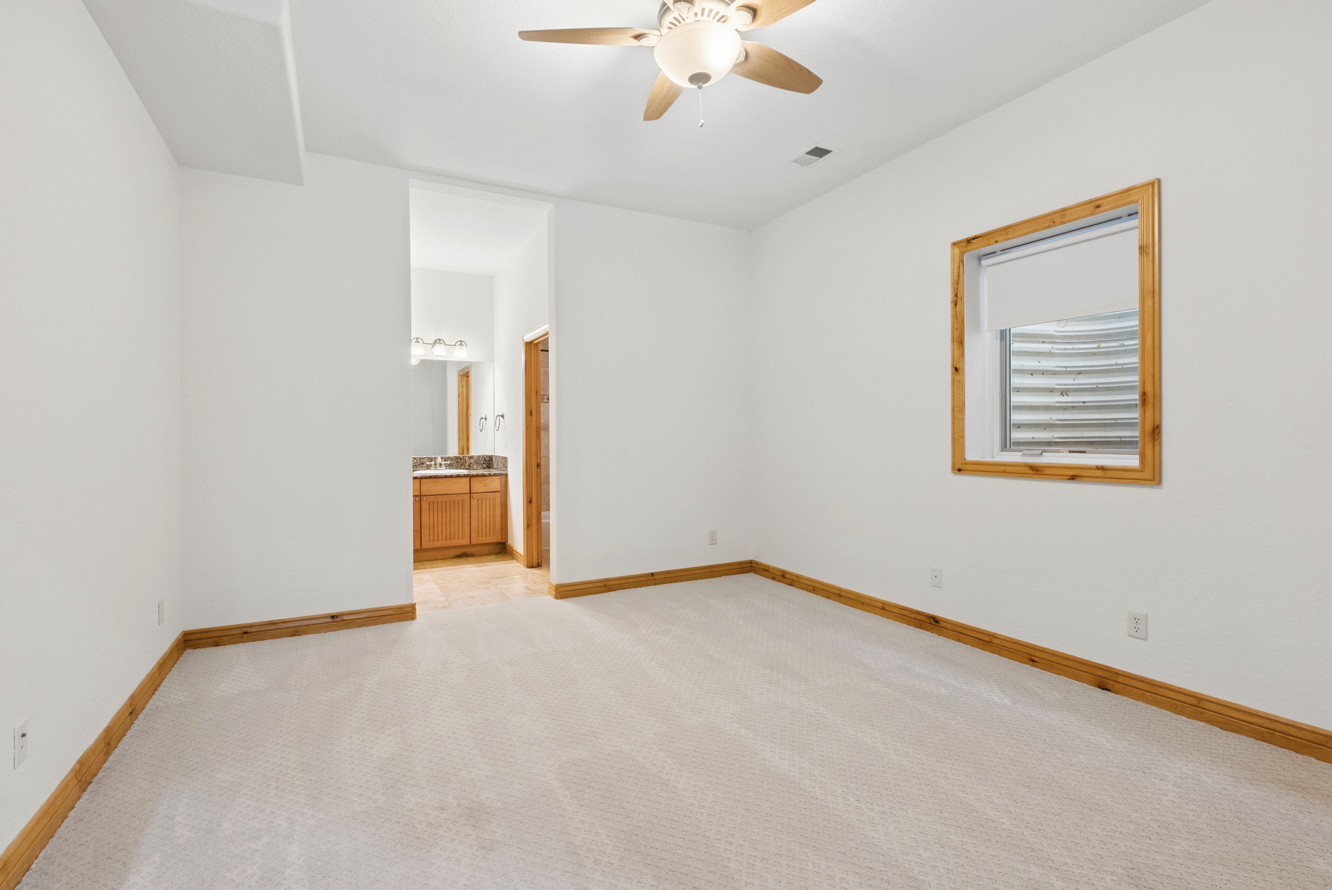  2895 S Cook Street  Finished Walkout Home - 物件實景
