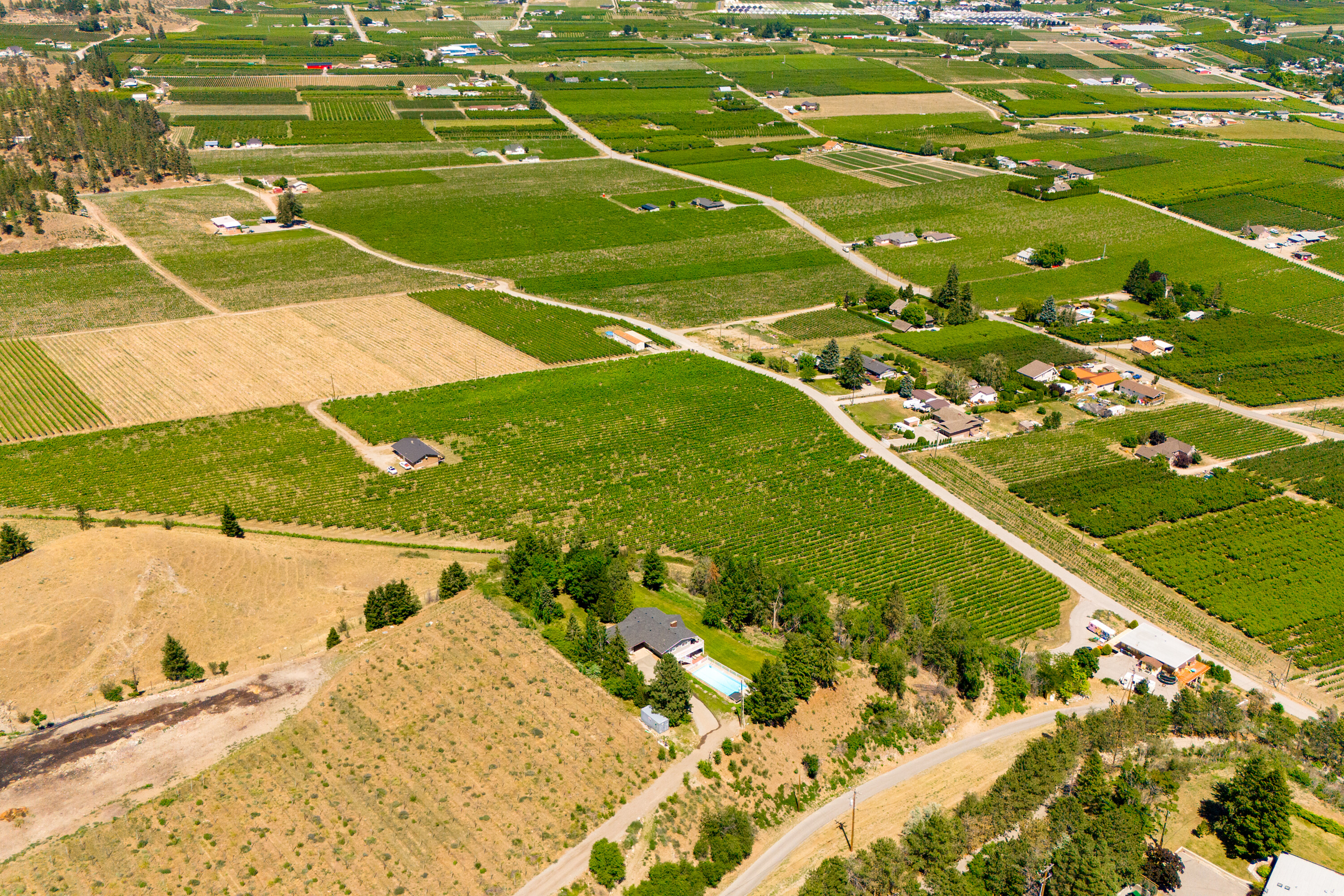  Lakefront Winery Receivership - 物件實景