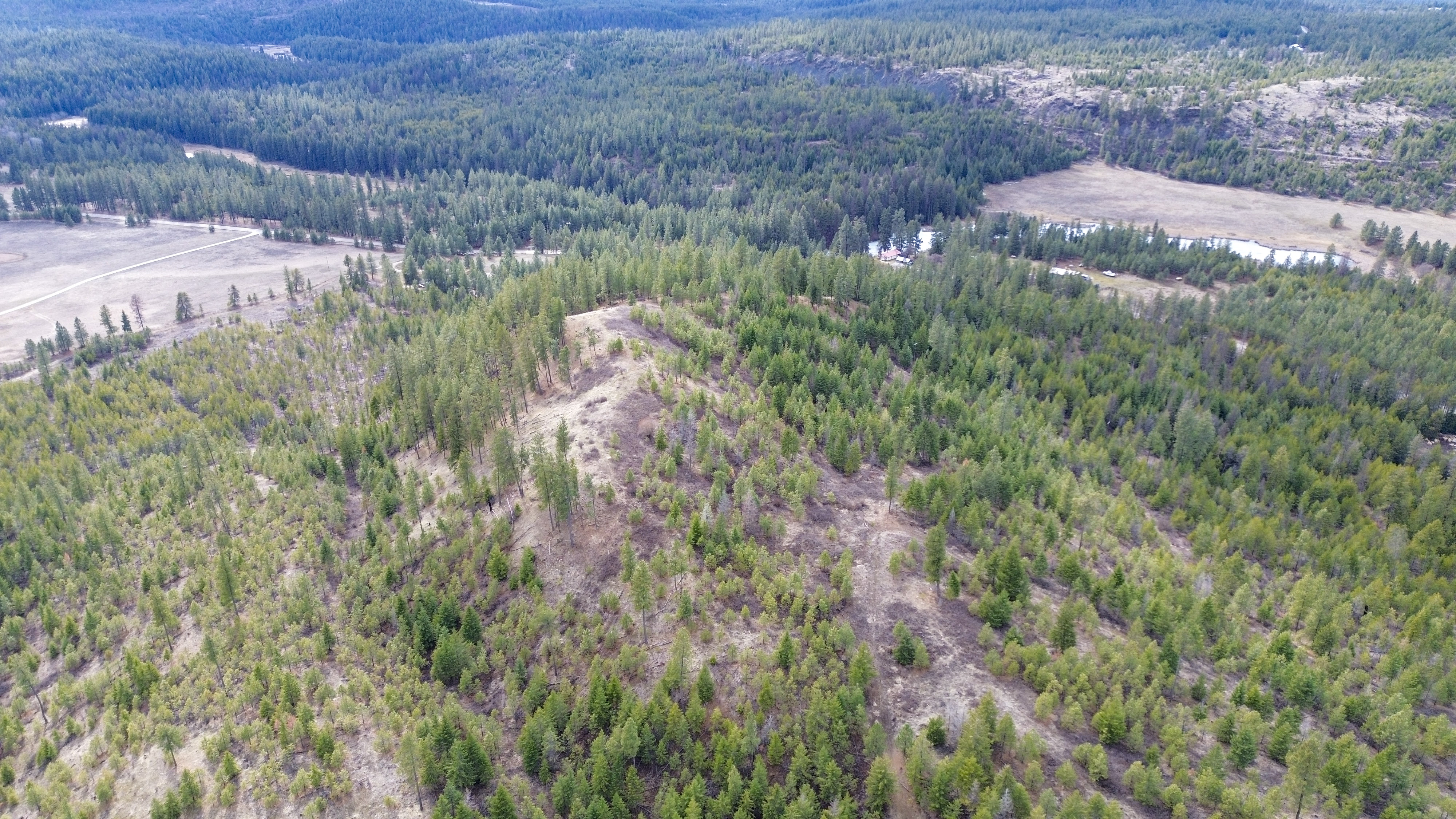 Valley, Washington, 99181, United States, ,Land,For Sale,1979391