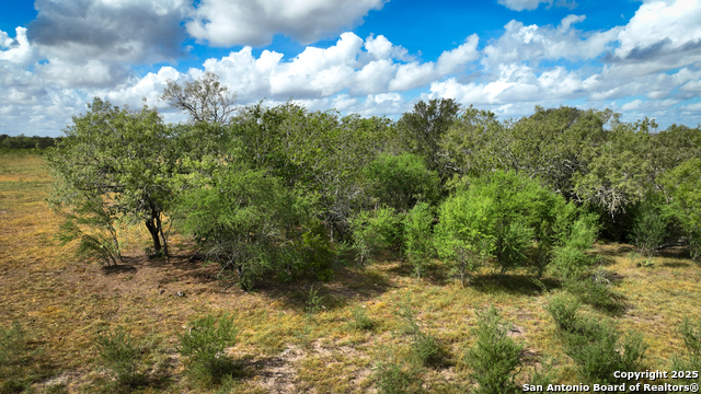 Nixon, Texas, 78140, United States, ,Residential,For Sale,1988320