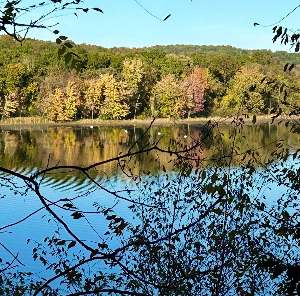 Lowell, Michigan, 49331, United States, 2 Bedrooms Bedrooms, ,2 BathroomsBathrooms,Residential,For Sale,1987591