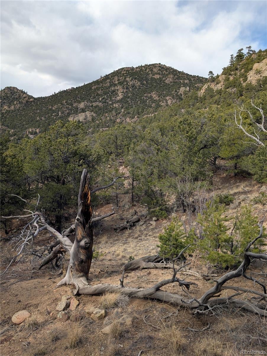 Buena Vista, Colorado, 81211, United States, ,Land,For Sale,1979562