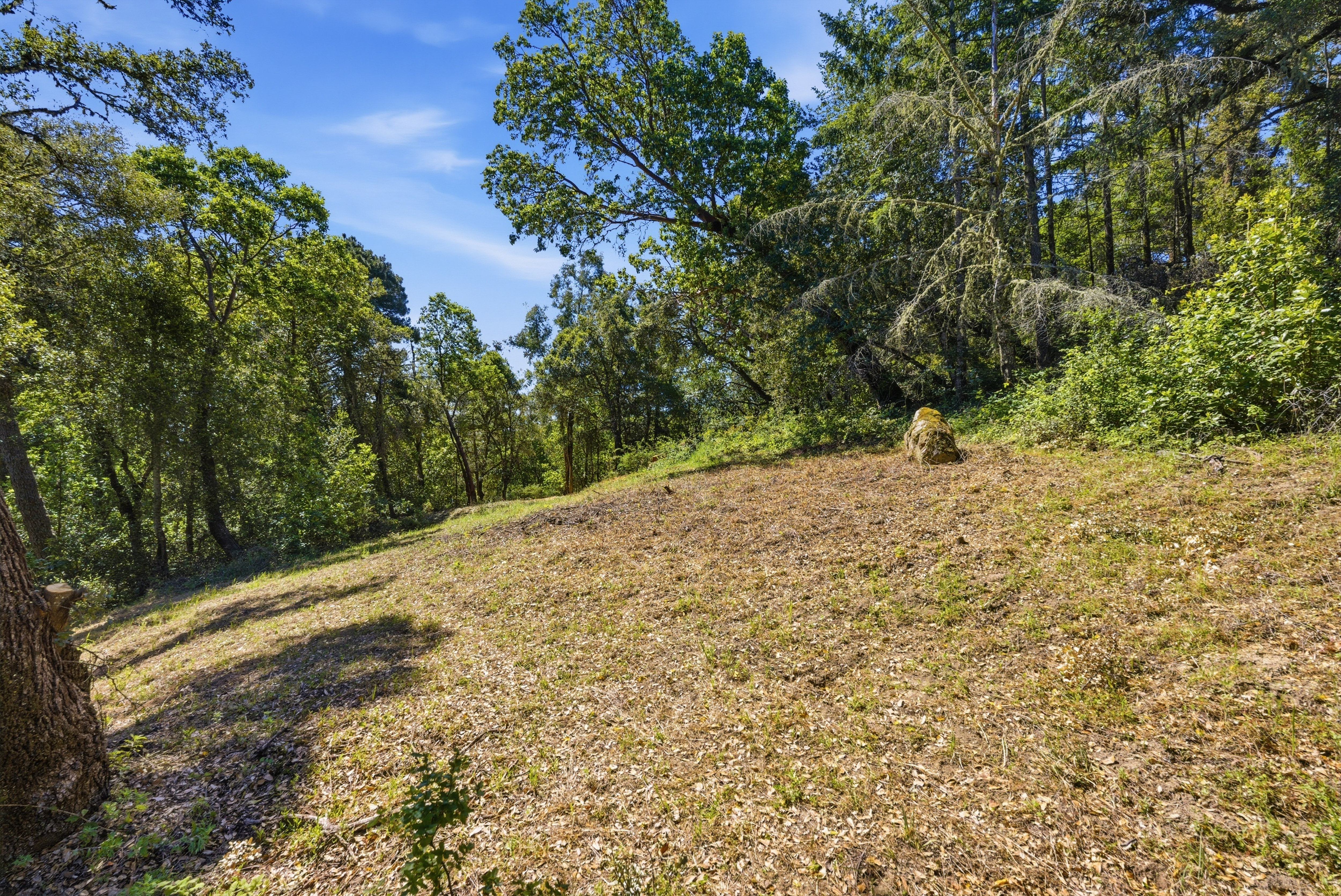  Exceptional Five-Acre Estate Opportunity with Bay Area Views - 物件實景