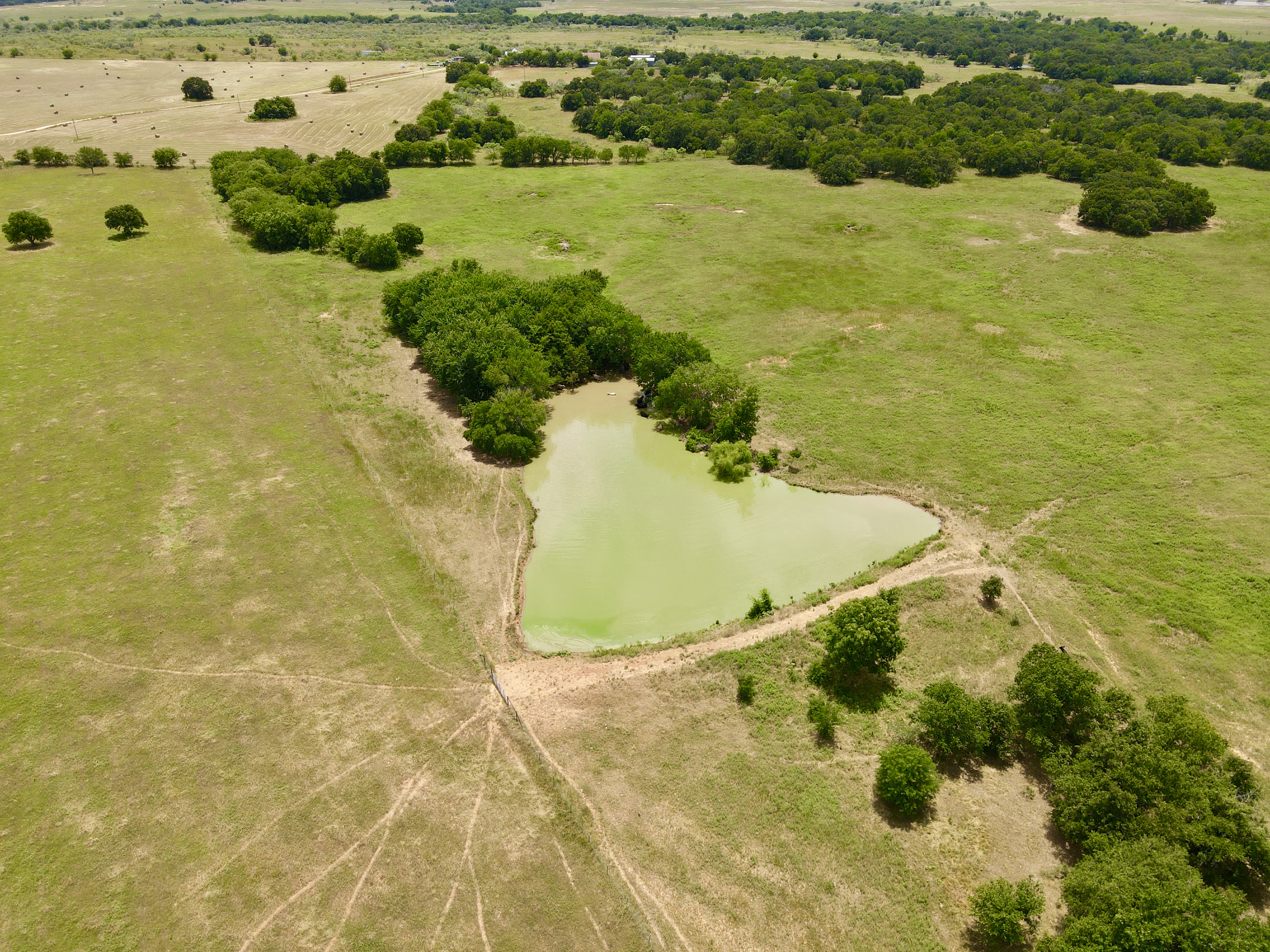 TBD Hwy 103, Nocona, Texas, 76255, United States, ,Residential,For Sale,TBD Hwy 103,1295999
