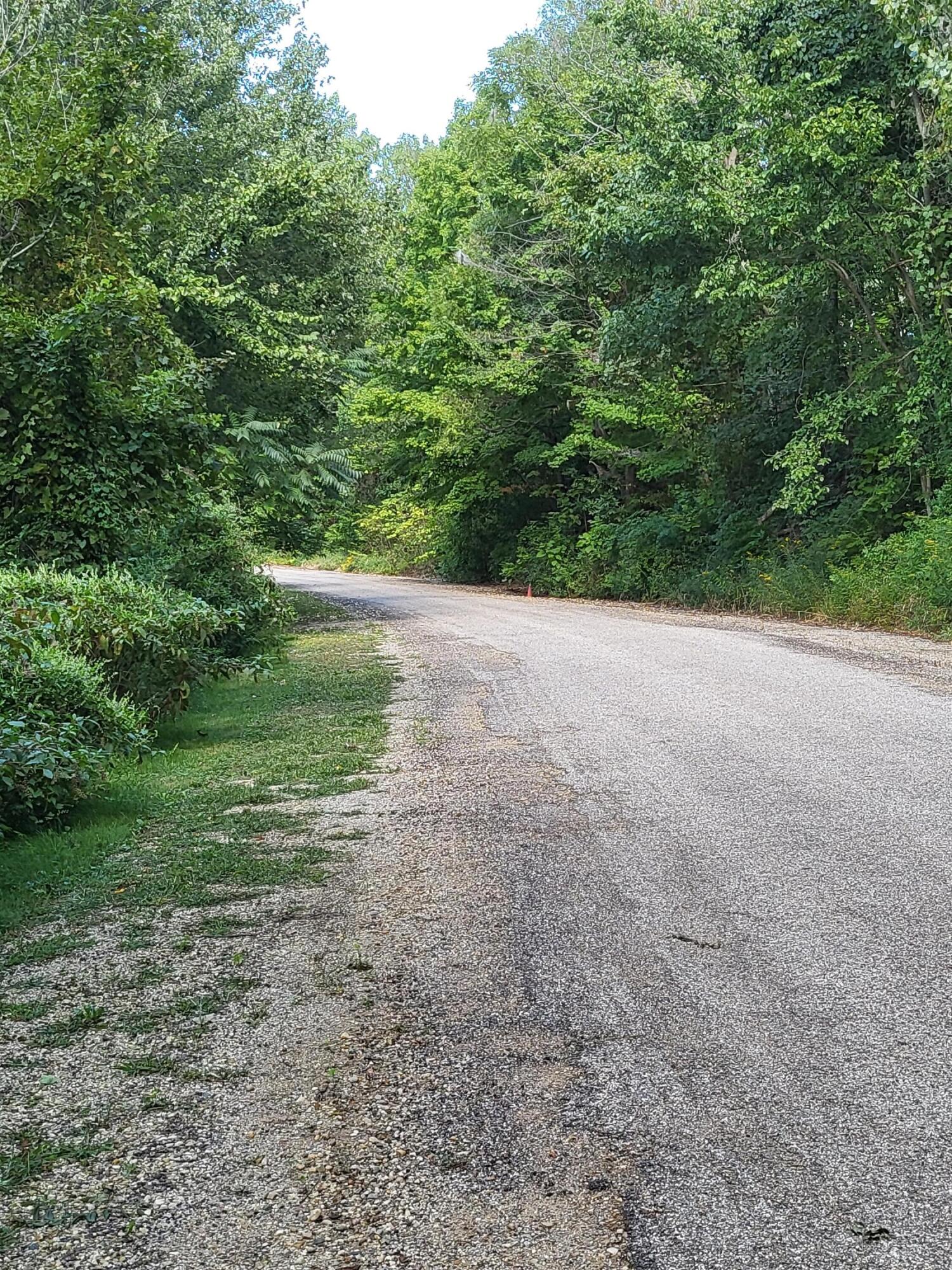 Union Pier, Michigan, 49129, United States, ,Land,For Sale,1988293