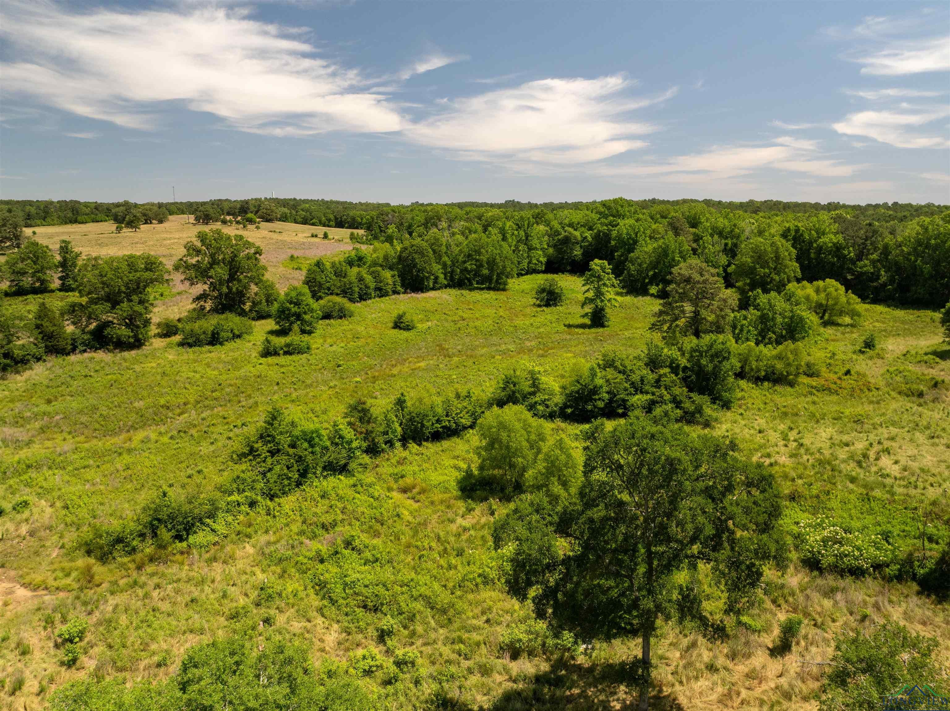 7557 FM 248, Lodi, Texas, 75564, United States, ,Residential,For Sale,7557 FM 248,1614560