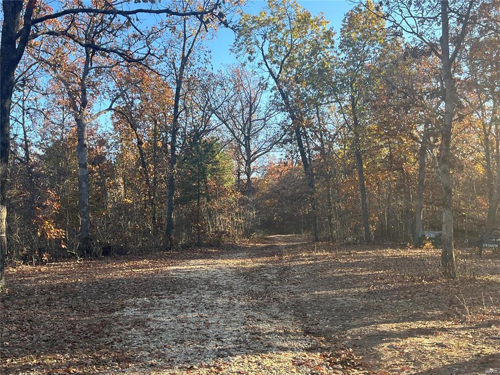 Potosi, Missouri, 65441, United States, ,Land,For Sale,1793756