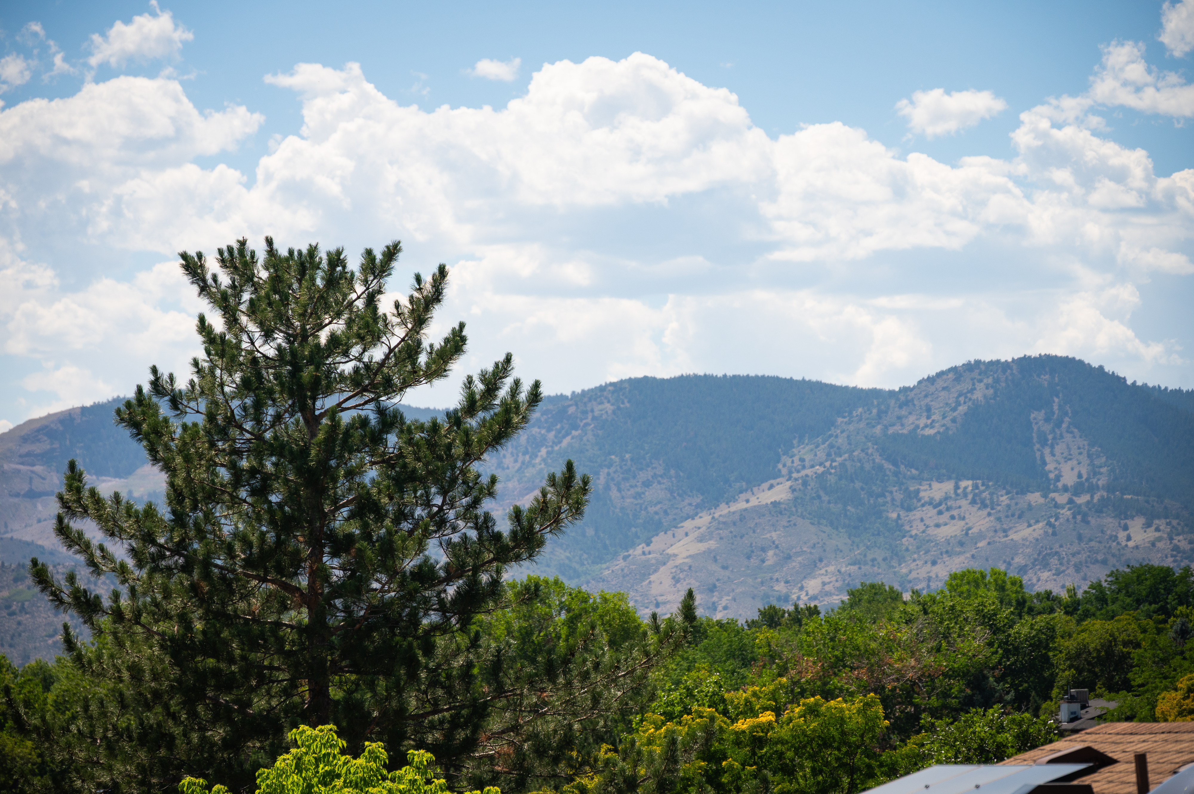  Cul-de-Sac Retreat with Red Rocks & Mountain Views - 物件實景