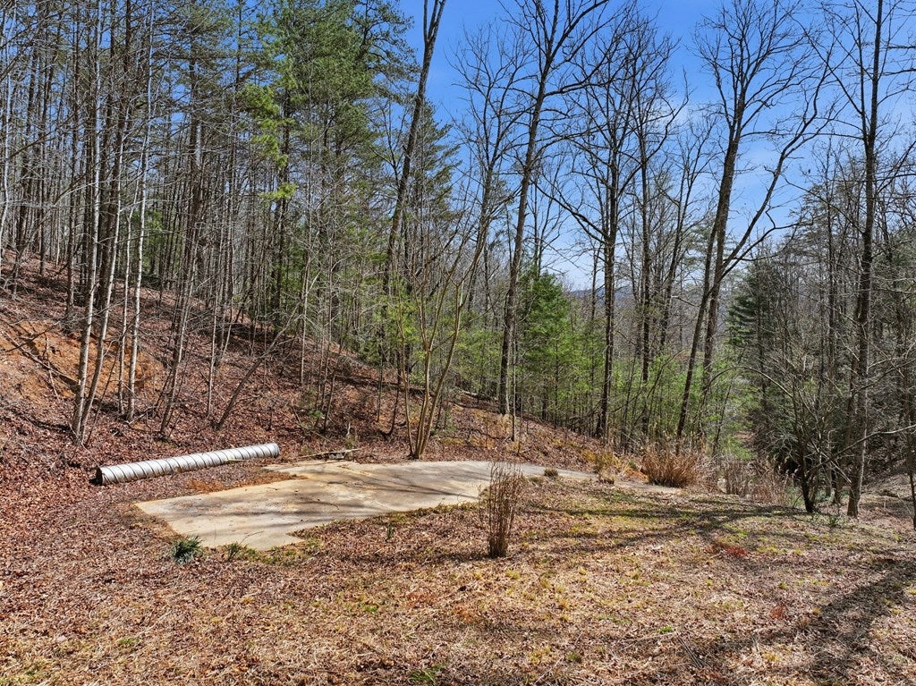 Ellijay, Georgia, 30536, United States, 2 Bedrooms Bedrooms, ,3 BathroomsBathrooms,Residential,For Sale,2034999
