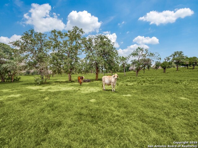 Other, 11111, United States, ,Residential,For Sale,1950613