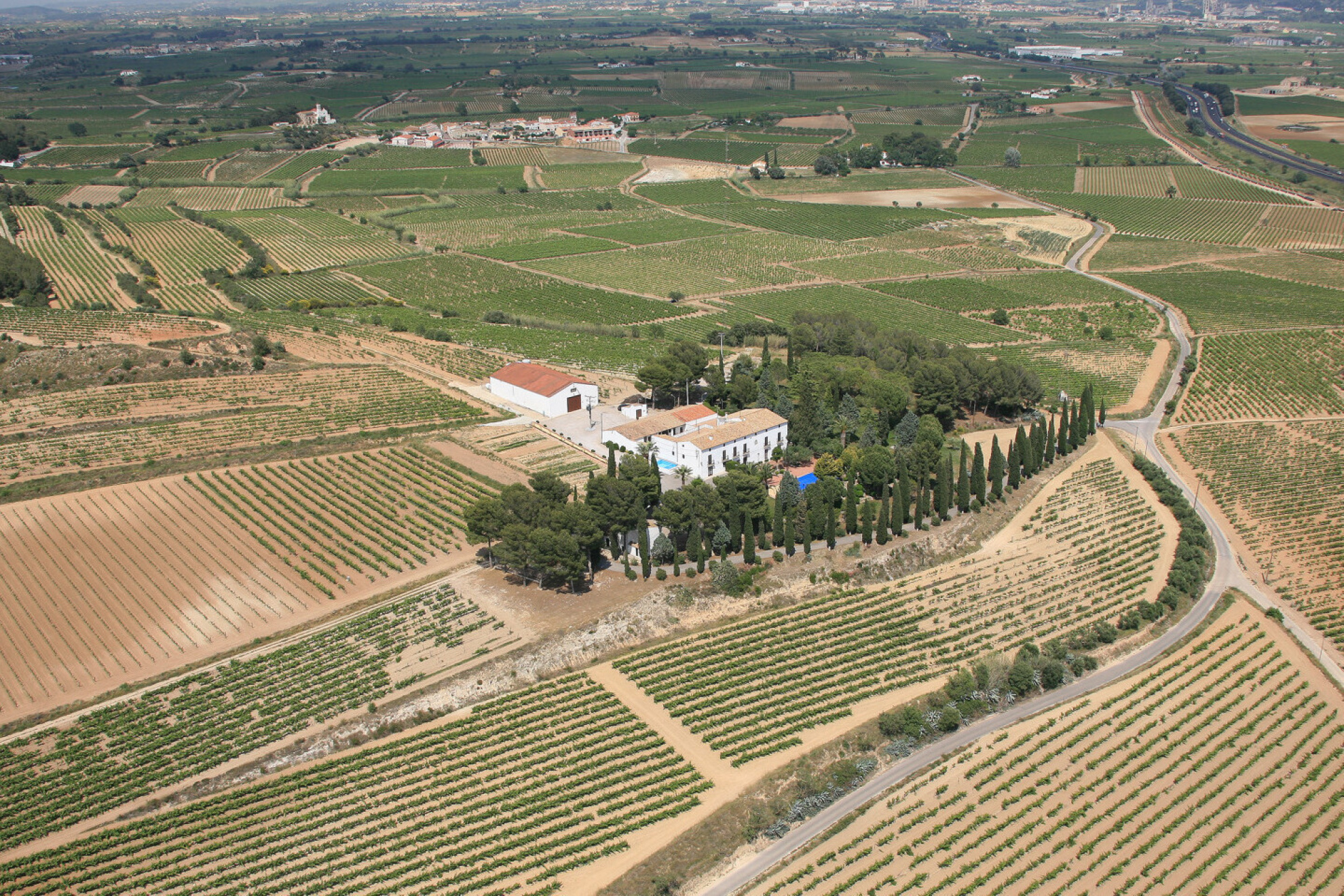  Historic Winery Estate with Vineyards in Penedes for Sale. - 物件實景