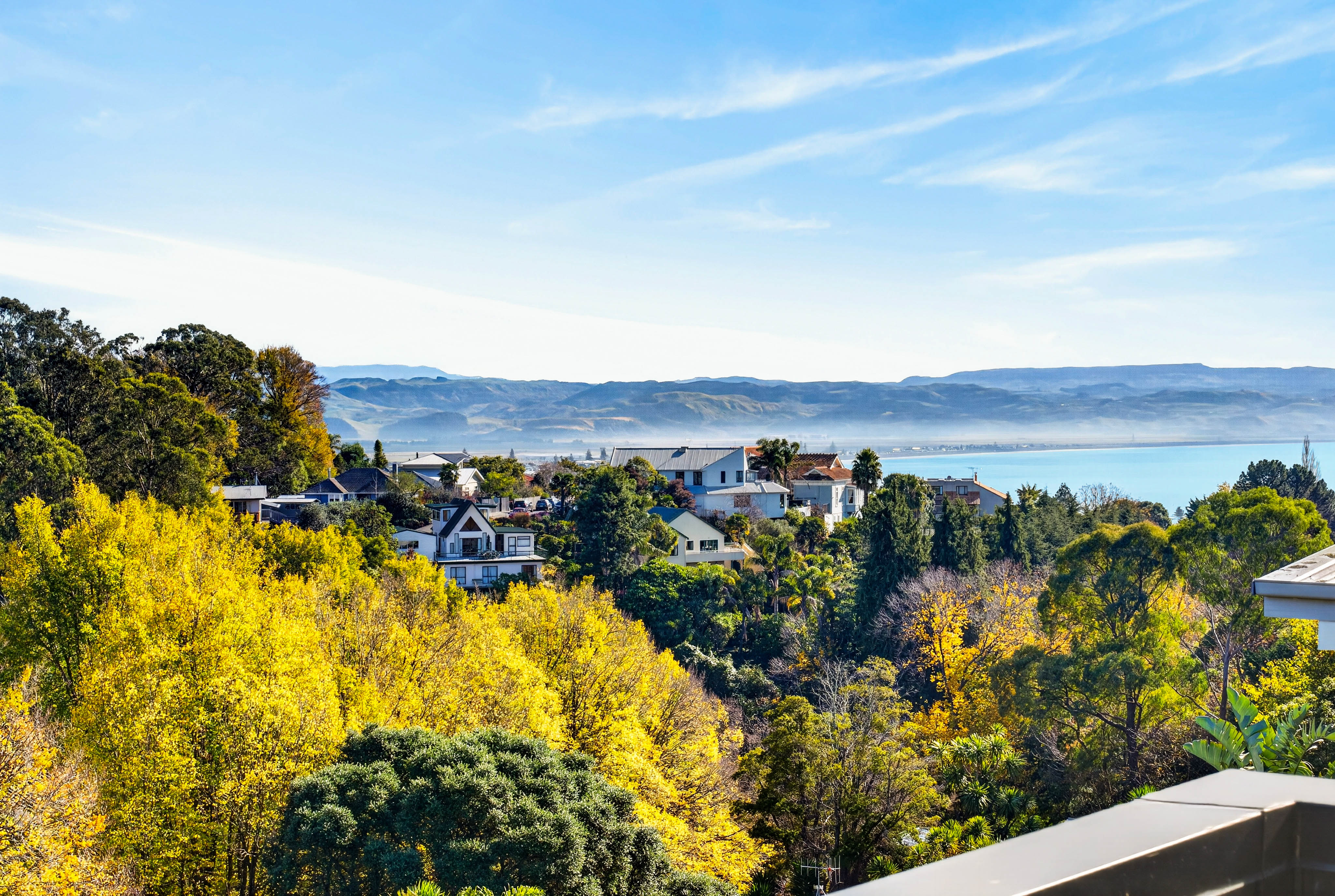  8 Selwyn Road, Hospital Hill, Napier, Hawke
