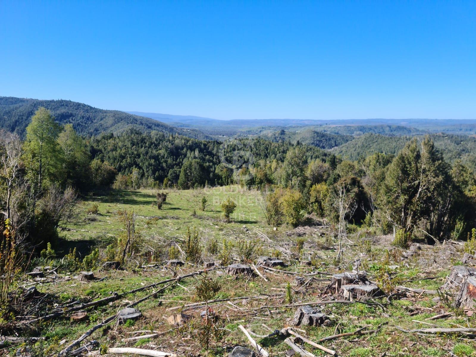 Fresia, Chile, ,Residential,For Sale,1913252