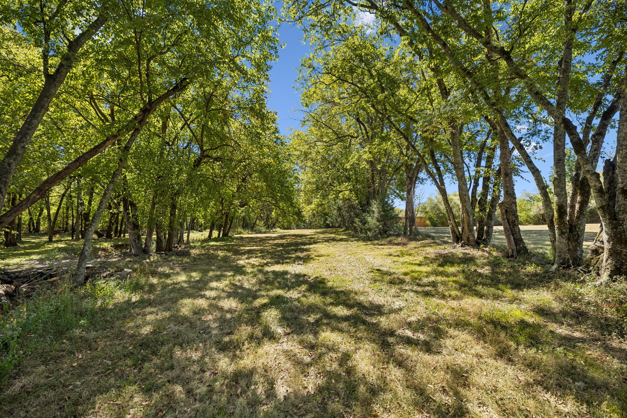  2216 Twin Peaks Ct, Spring Hill, TN, 37174 - 物件實景