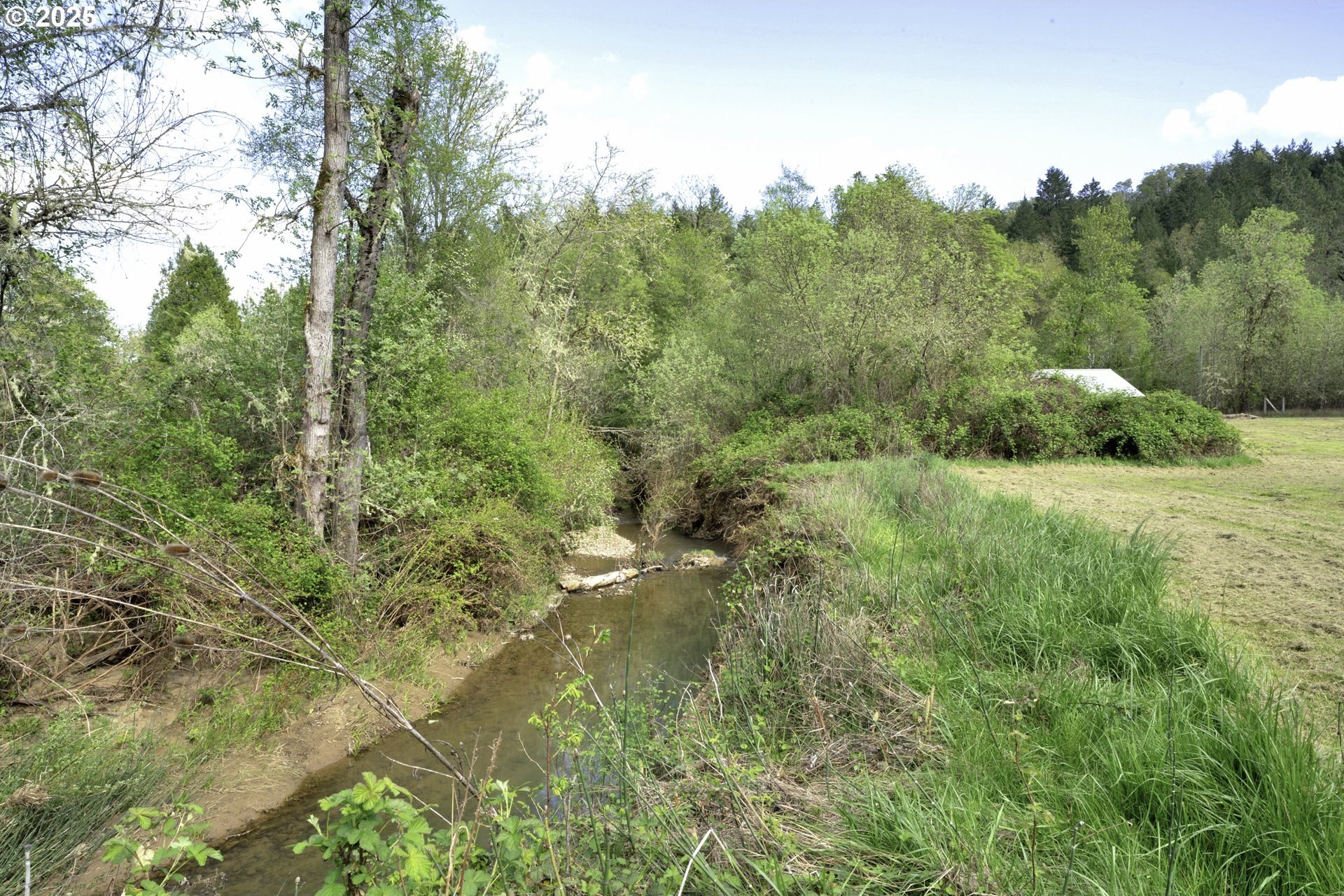 Roseburg, Oregon, 97471, United States, 3 Bedrooms Bedrooms, ,2 BathroomsBathrooms,Residential,For Sale,1793843