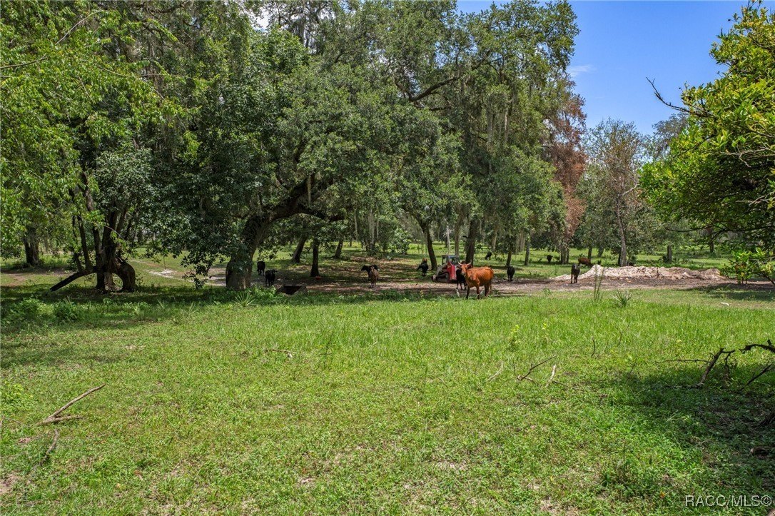 Inverness, Florida, 34453, United States, 6 Bedrooms Bedrooms, ,4 BathroomsBathrooms,Residential,For Sale,1975798