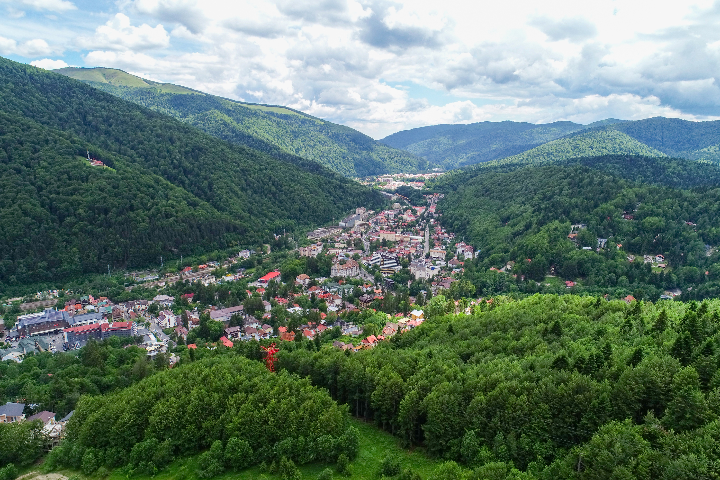  Modern Apartment Directly Adjacent to the Forest, Sinaia - 物件實景