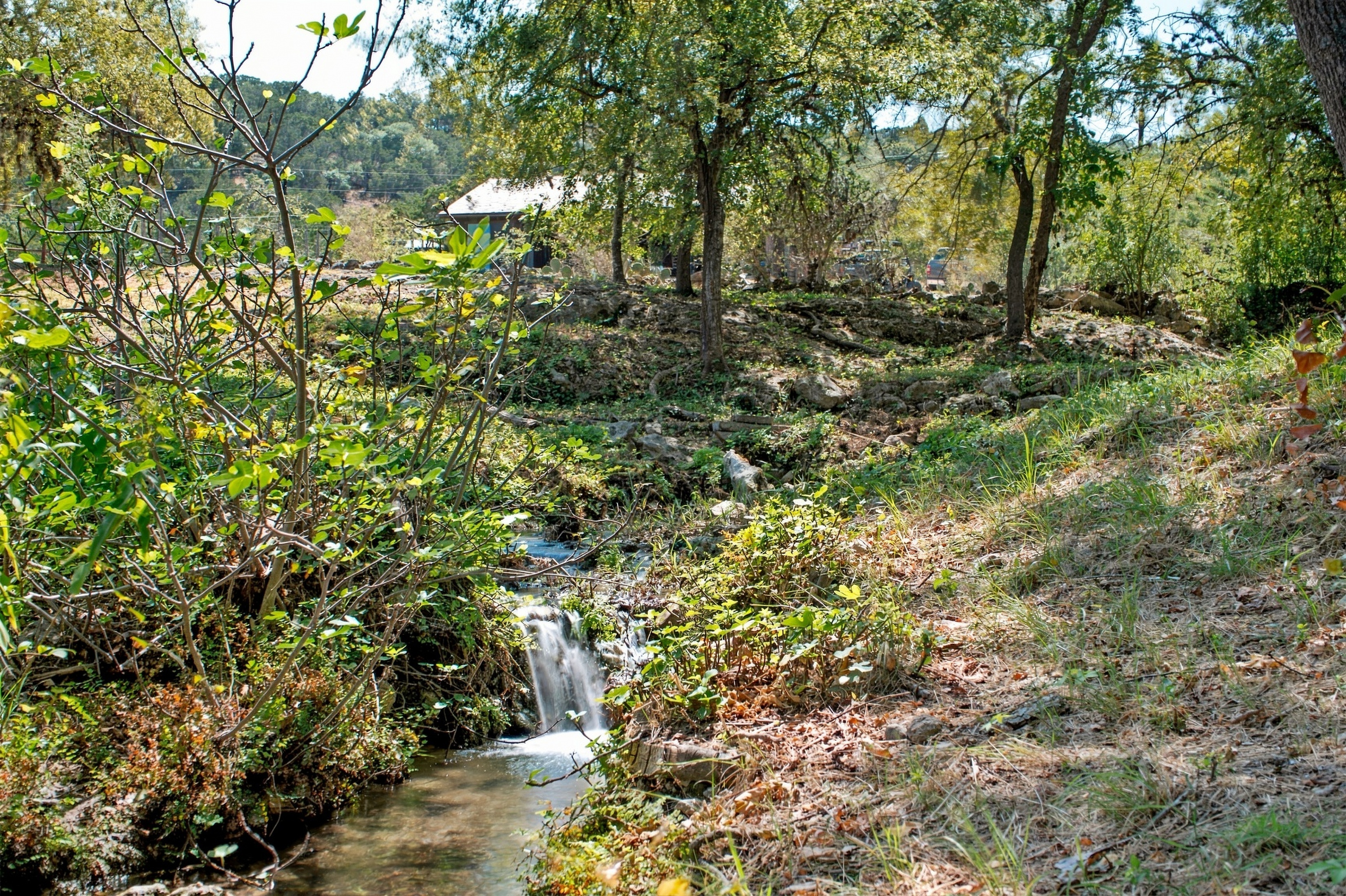  985+/- Acre 12 Springs Ranch - 物件實景