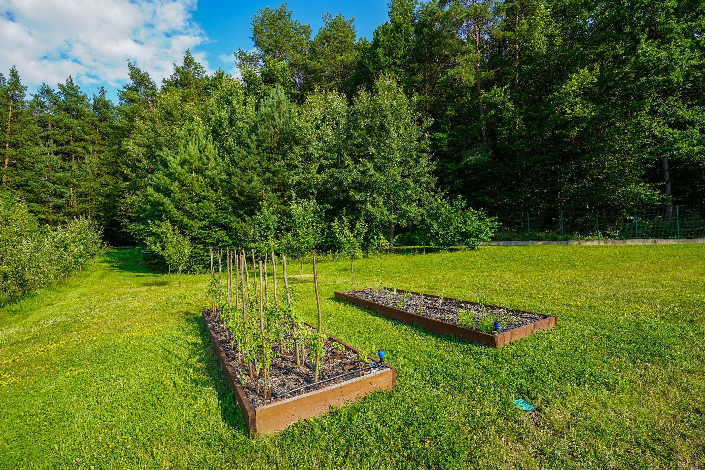  Villa with a 19-Hectare Private Estate on the Edge of the Forest - 物件實景