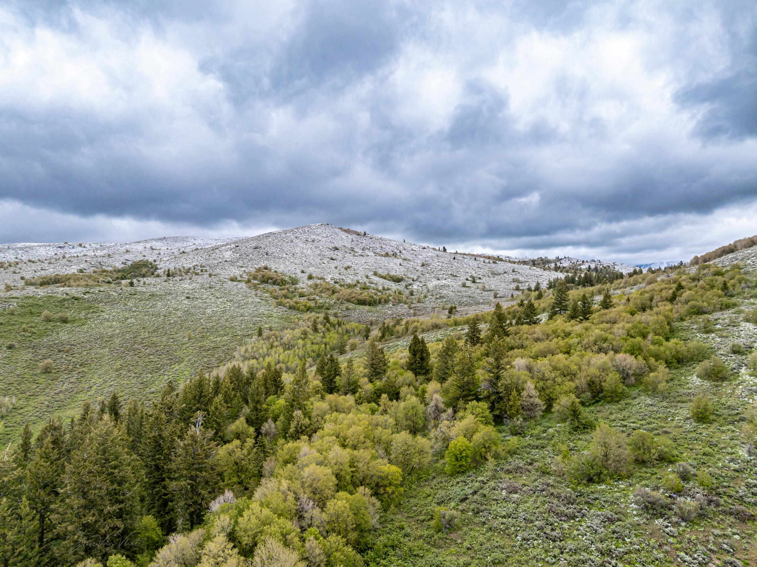Pocatello, Idaho, 83202, United States, ,Residential,For Sale,1900816