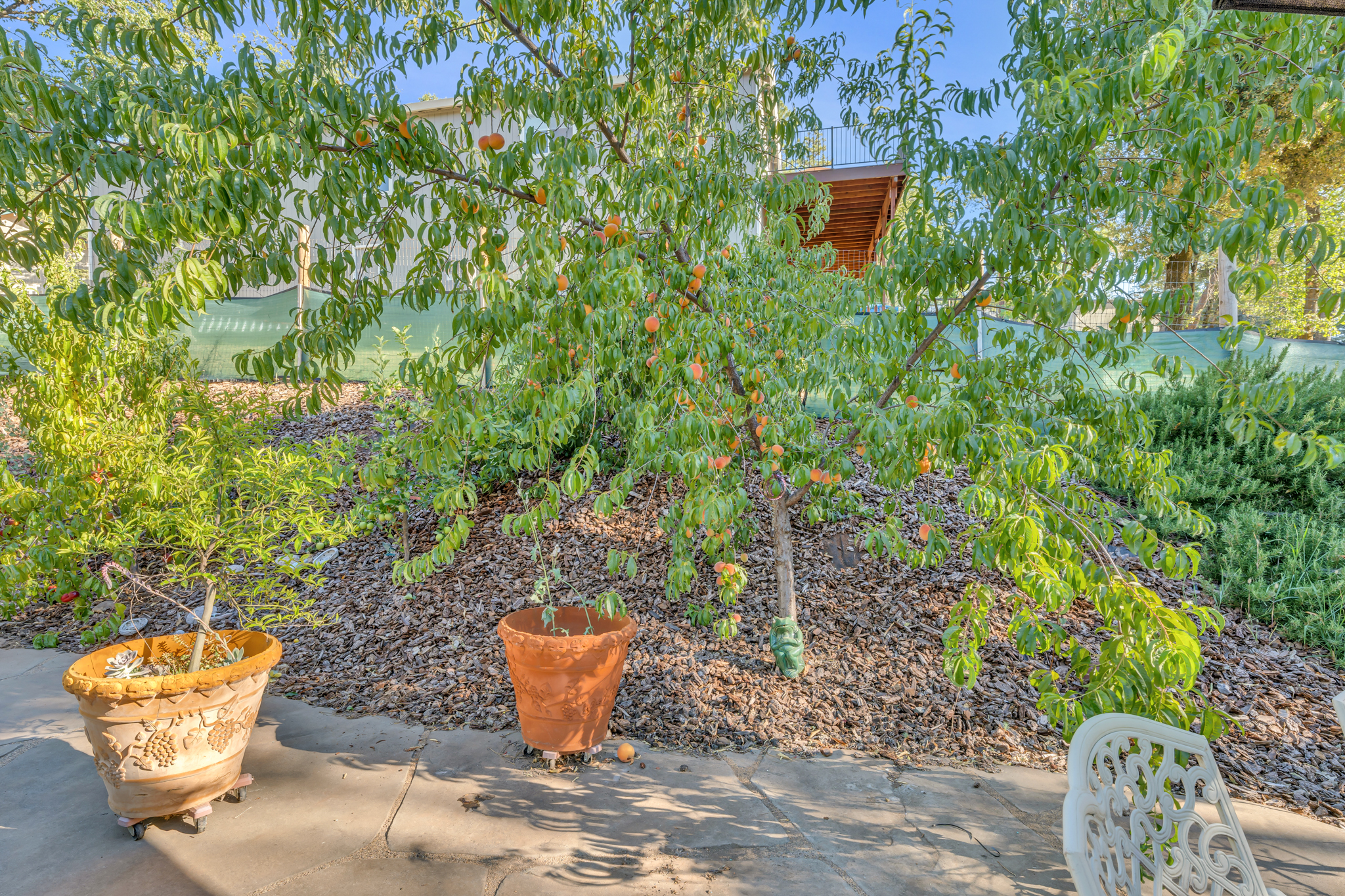  Placer Hills Road, Colfax, CA 95713 - 物件實景
