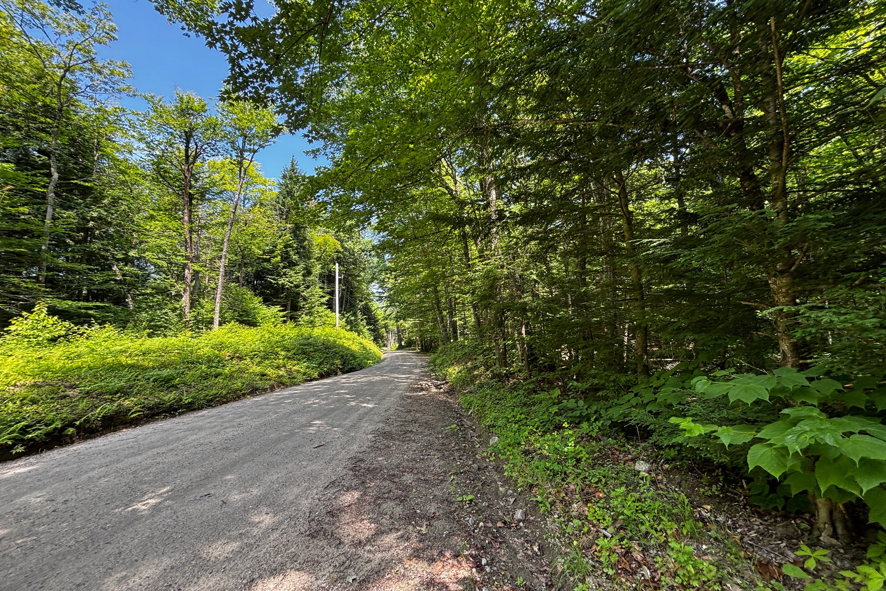  27 acres with close to Chester Village and Skiing - 物件實景