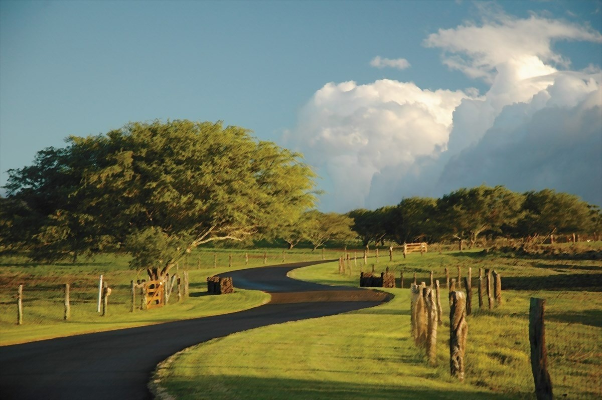 56-113 PUALANI ROAD, Hawi, Hawaii, 96719, United States, ,Land,For Sale,56-113 PUALANI ROAD,1642181