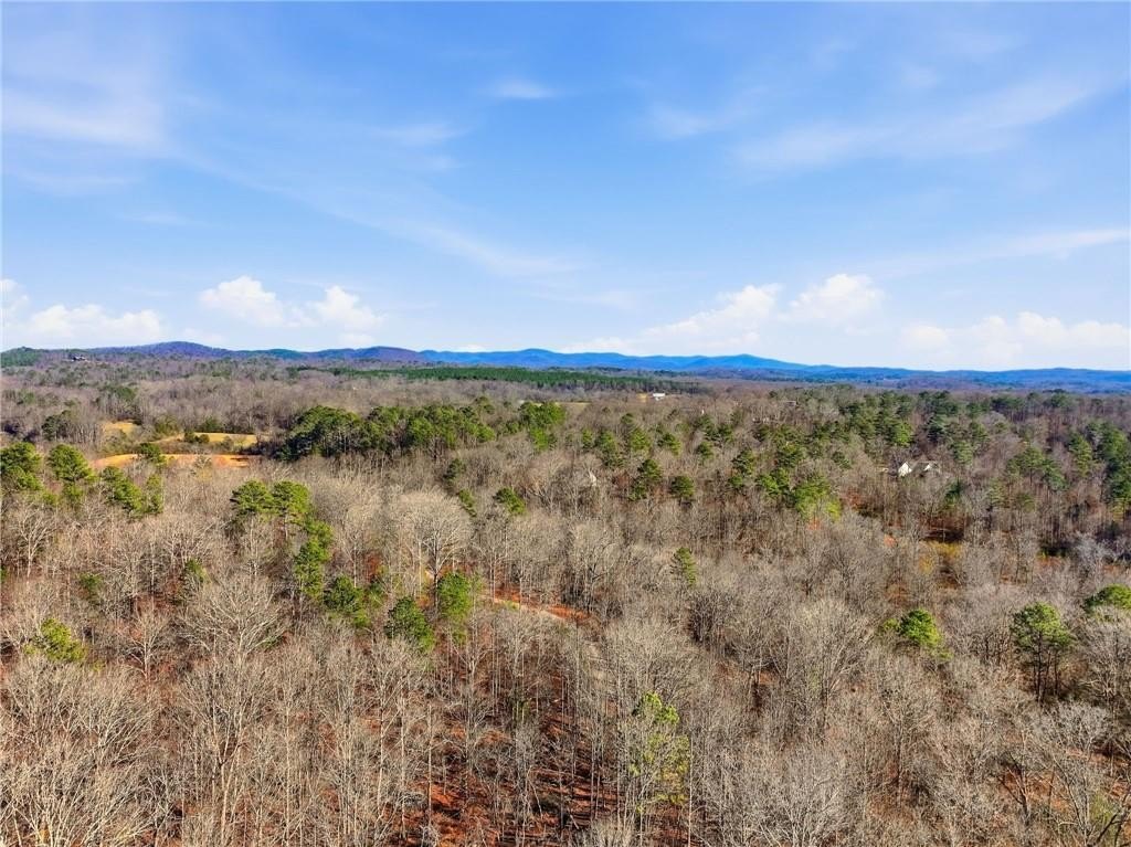 Talking Rock, Georgia, 30175, United States, 1 Bedroom Bedrooms, ,1 BathroomBathrooms,Residential,For Sale,2005739