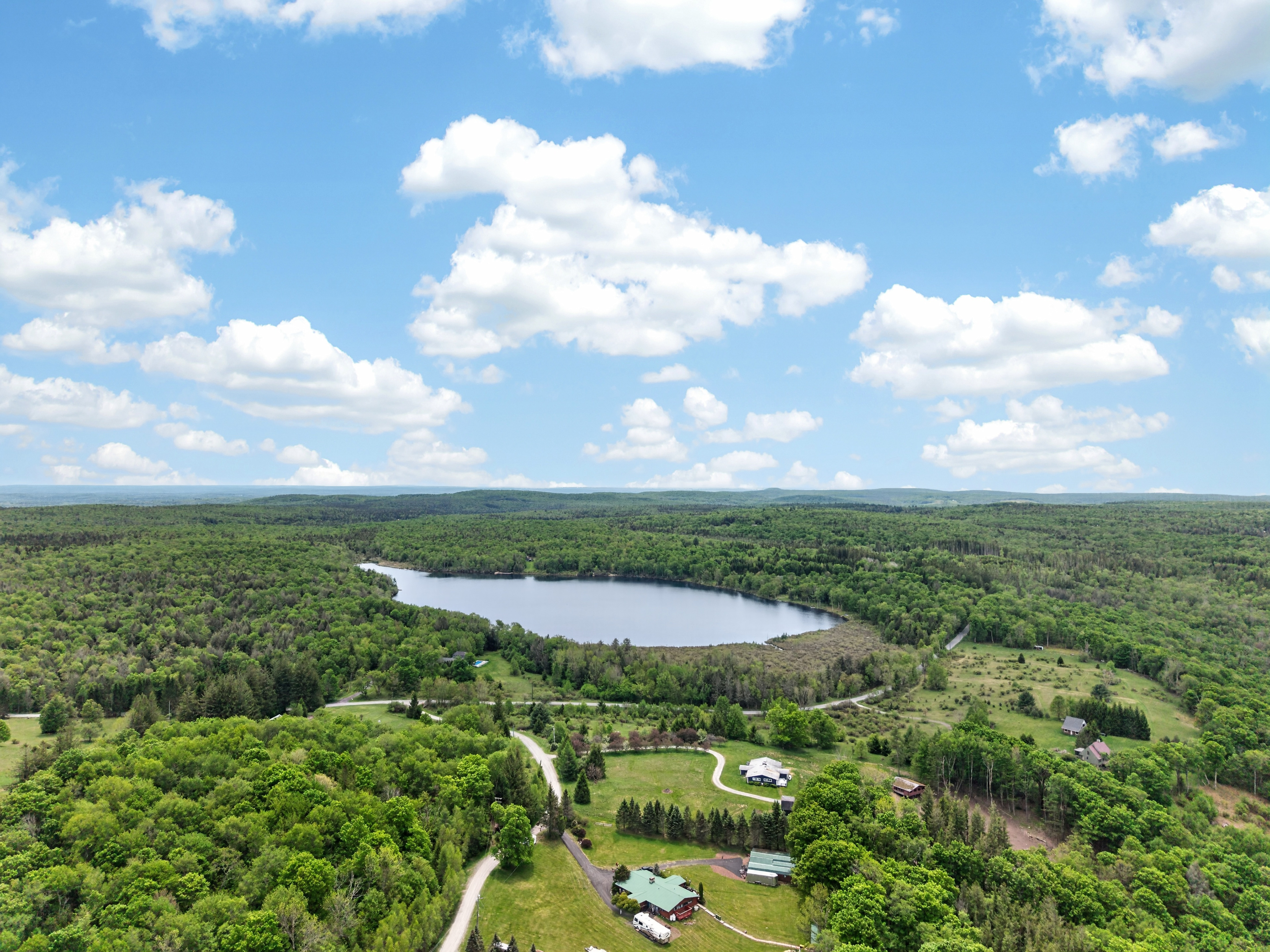  81 N Pond Drive, Livingston Manor, NY, 12758 - 物件實景
